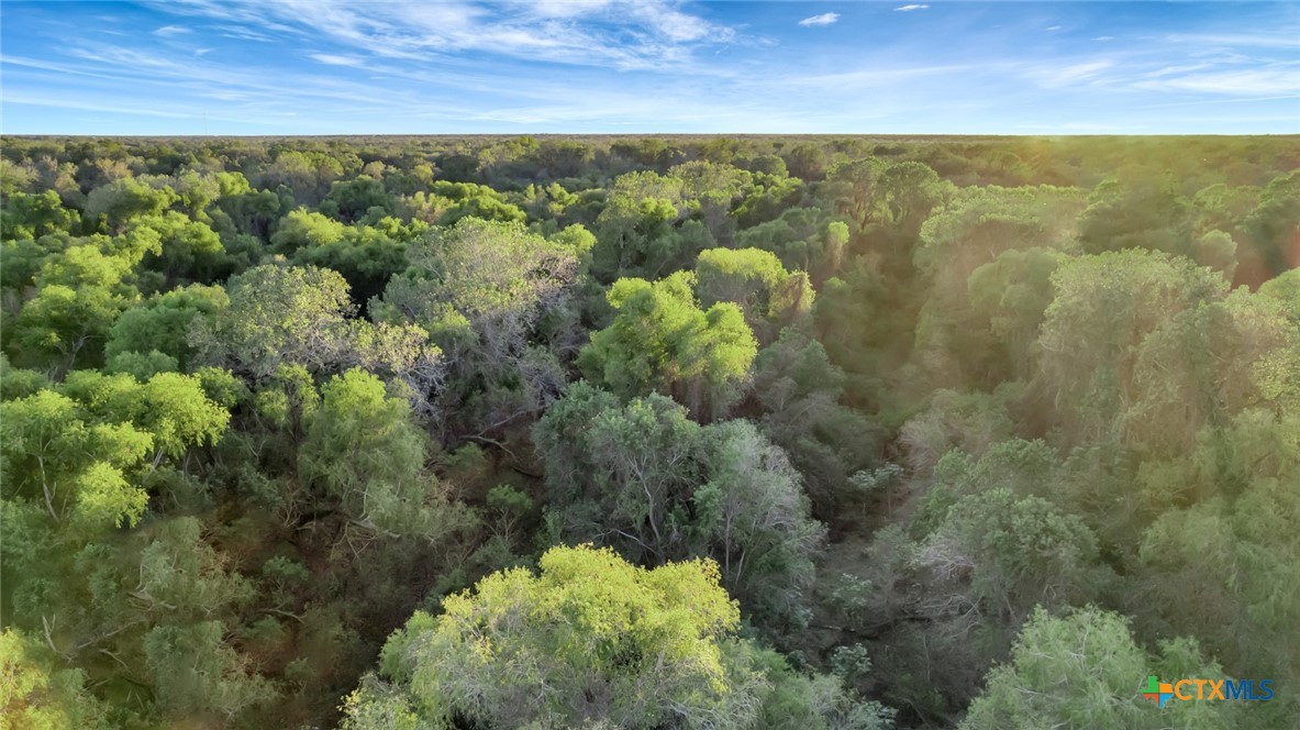 000 Smith Road, Victoria, Texas, 77905, United States, ,Land,For Sale,000 Smith Road,1673338