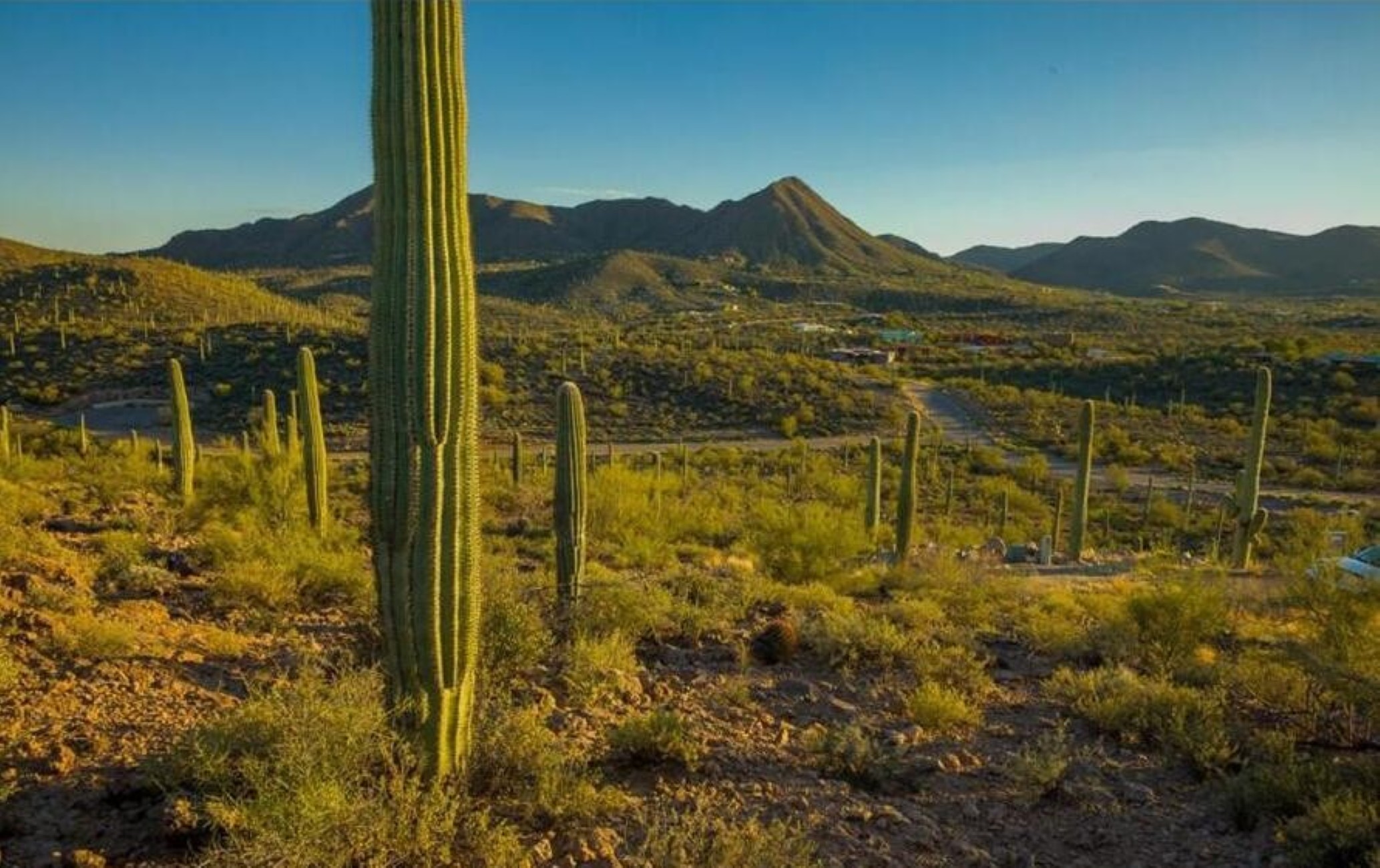  1688 N Enclave Place¦Tucson, AZ - 物件實景