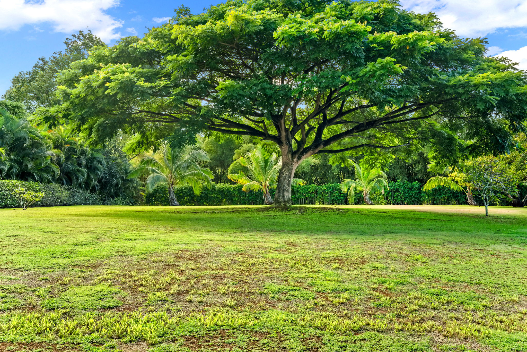  7761 Koolau Rd, Kilauea, HI, 96754 - 物件實景
