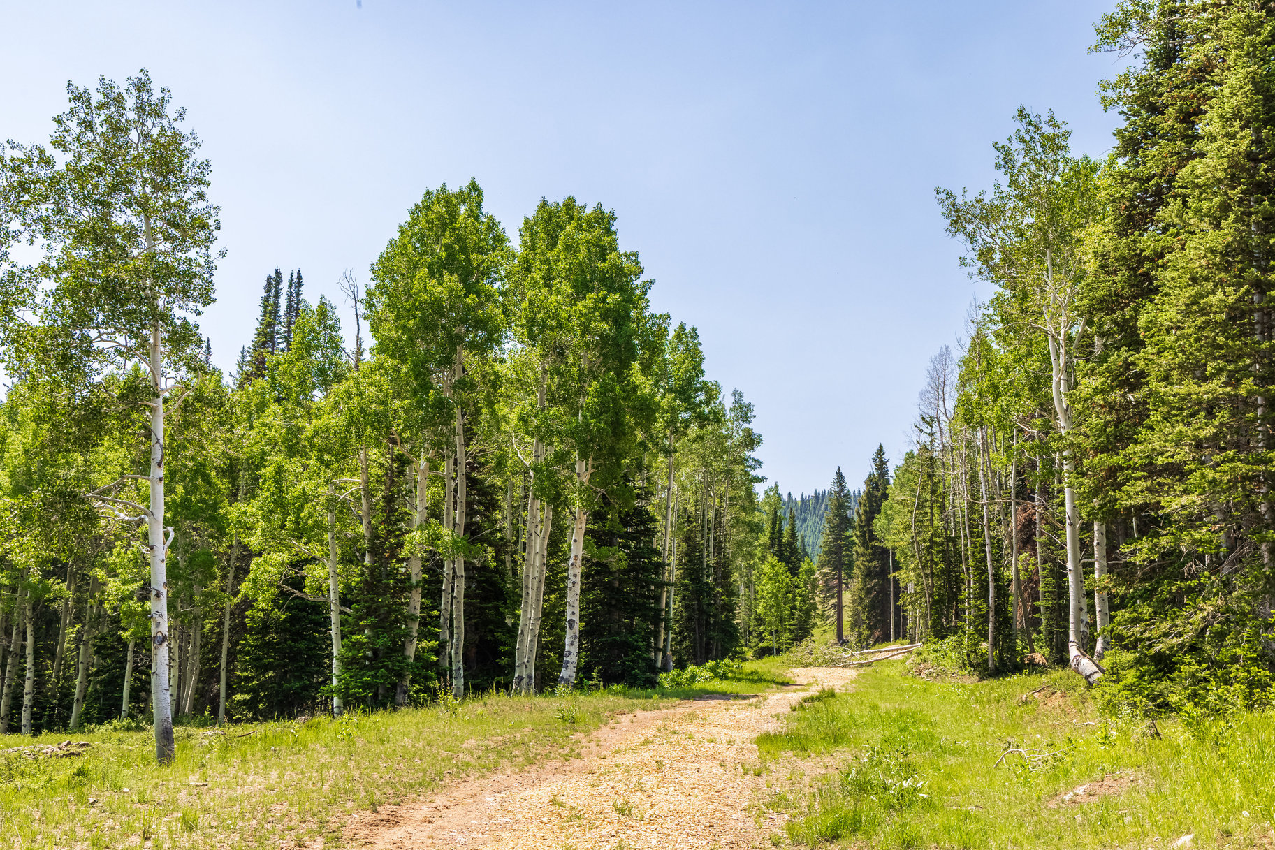  Incredible 28 Acre Estate Lot in the Colony at White Pine Canyon - 物件實景