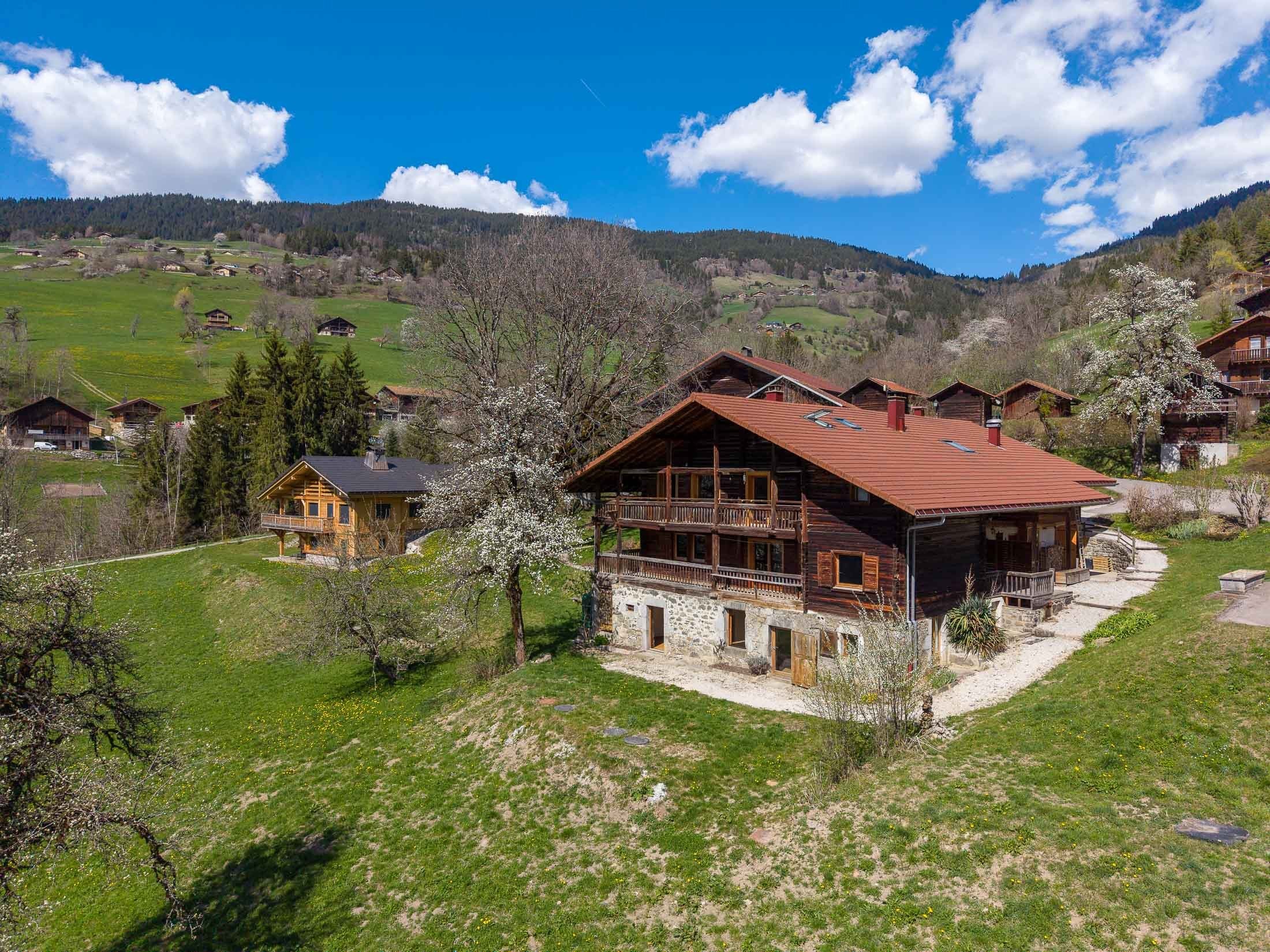  Flat with magnificent views of La Tournette - 物件實景