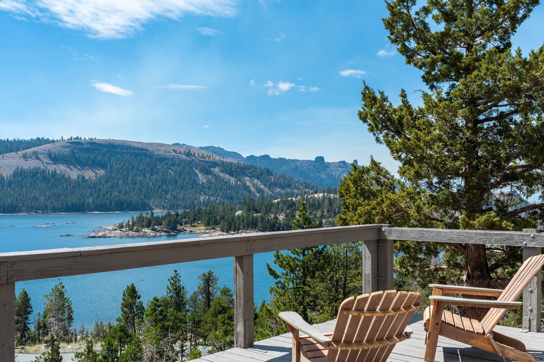  The Juniper Cabin: A Wild Invitation to See the World Differently - 物件實景