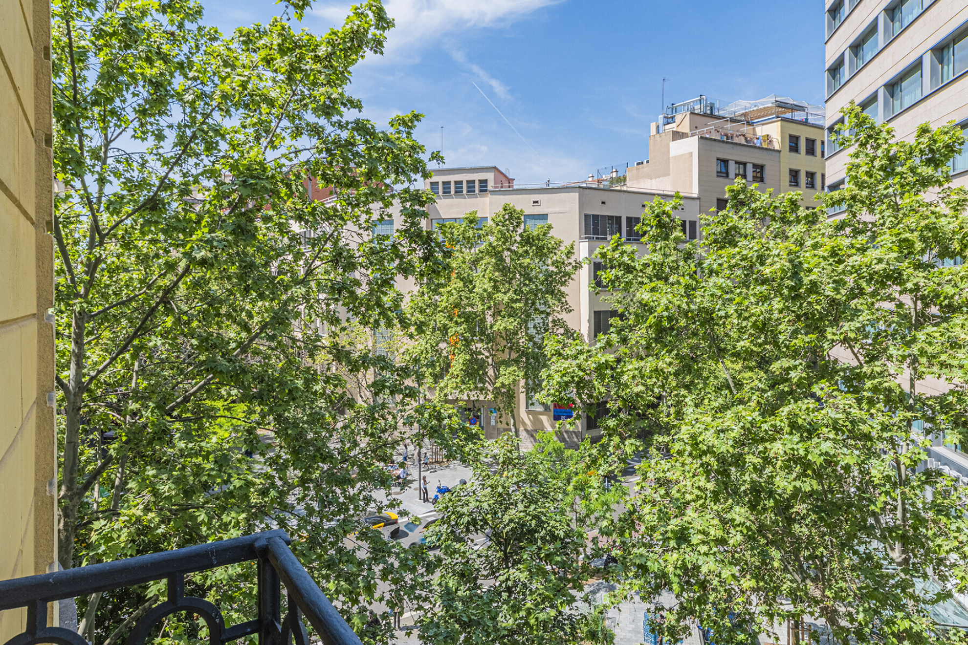  Luxurious refurbished apartment just steps from Paseo de Gracia - 物件實景