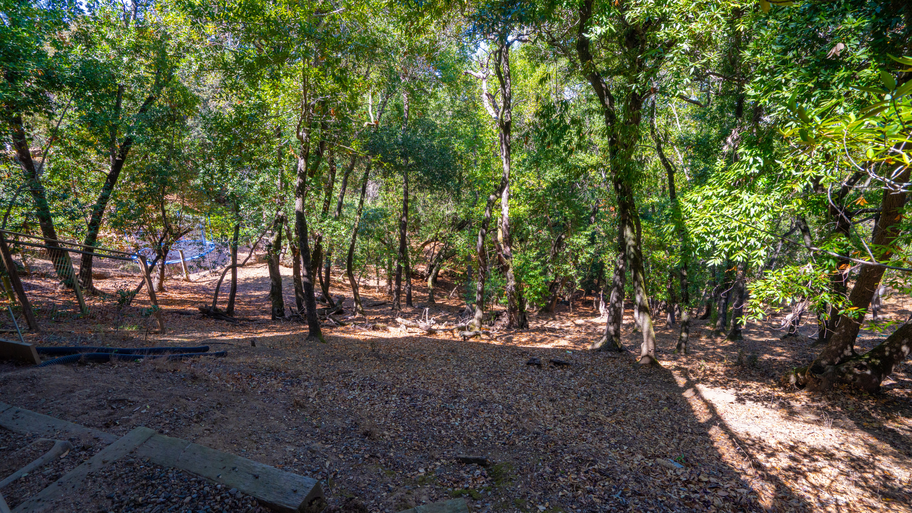  Panoramic Views in Private East Novato - 物件實景