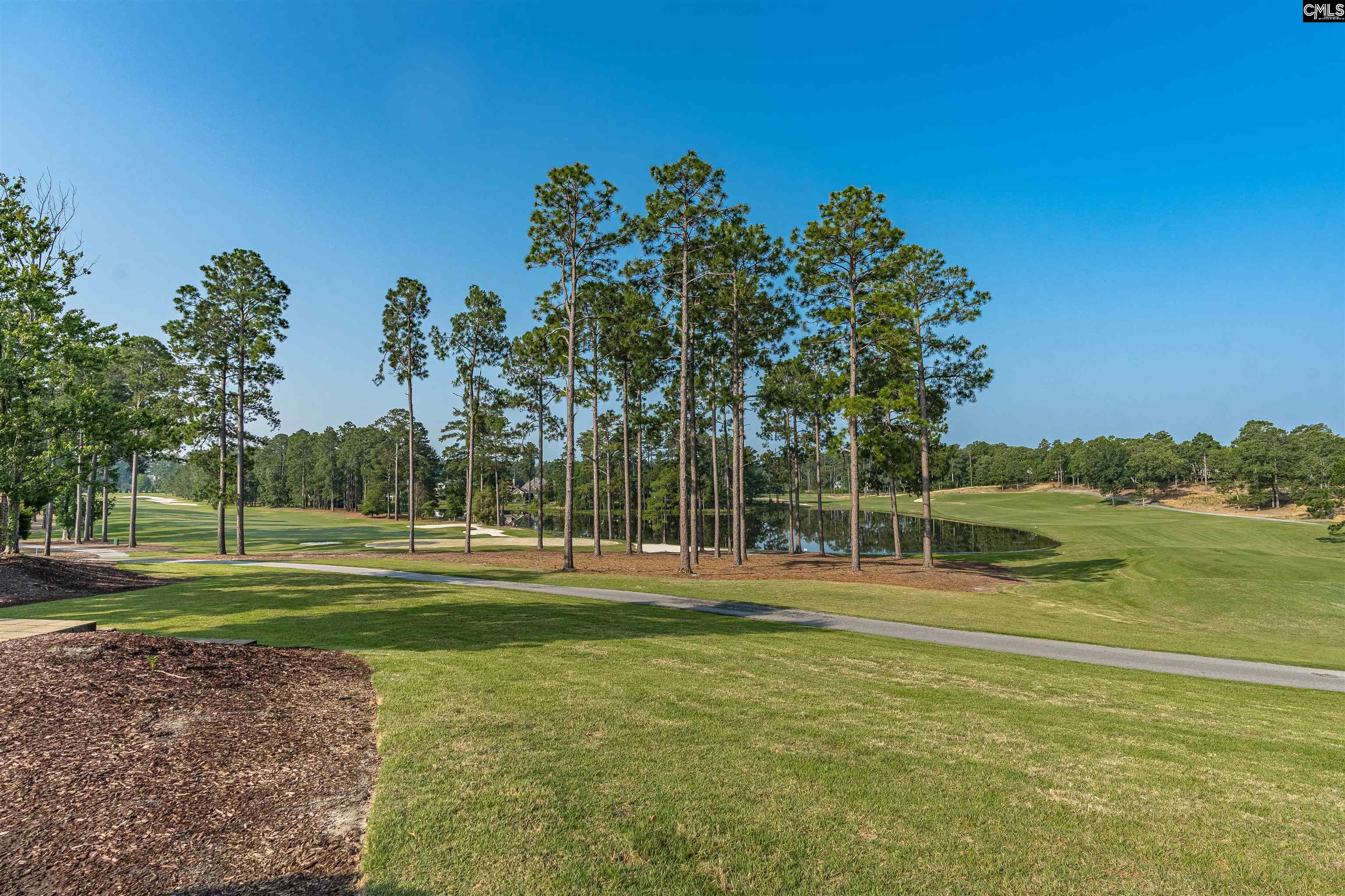 Elgin, South Carolina, 29045, United States, 5 Bedrooms Bedrooms, ,4 BathroomsBathrooms,Residential,For Sale,1868920