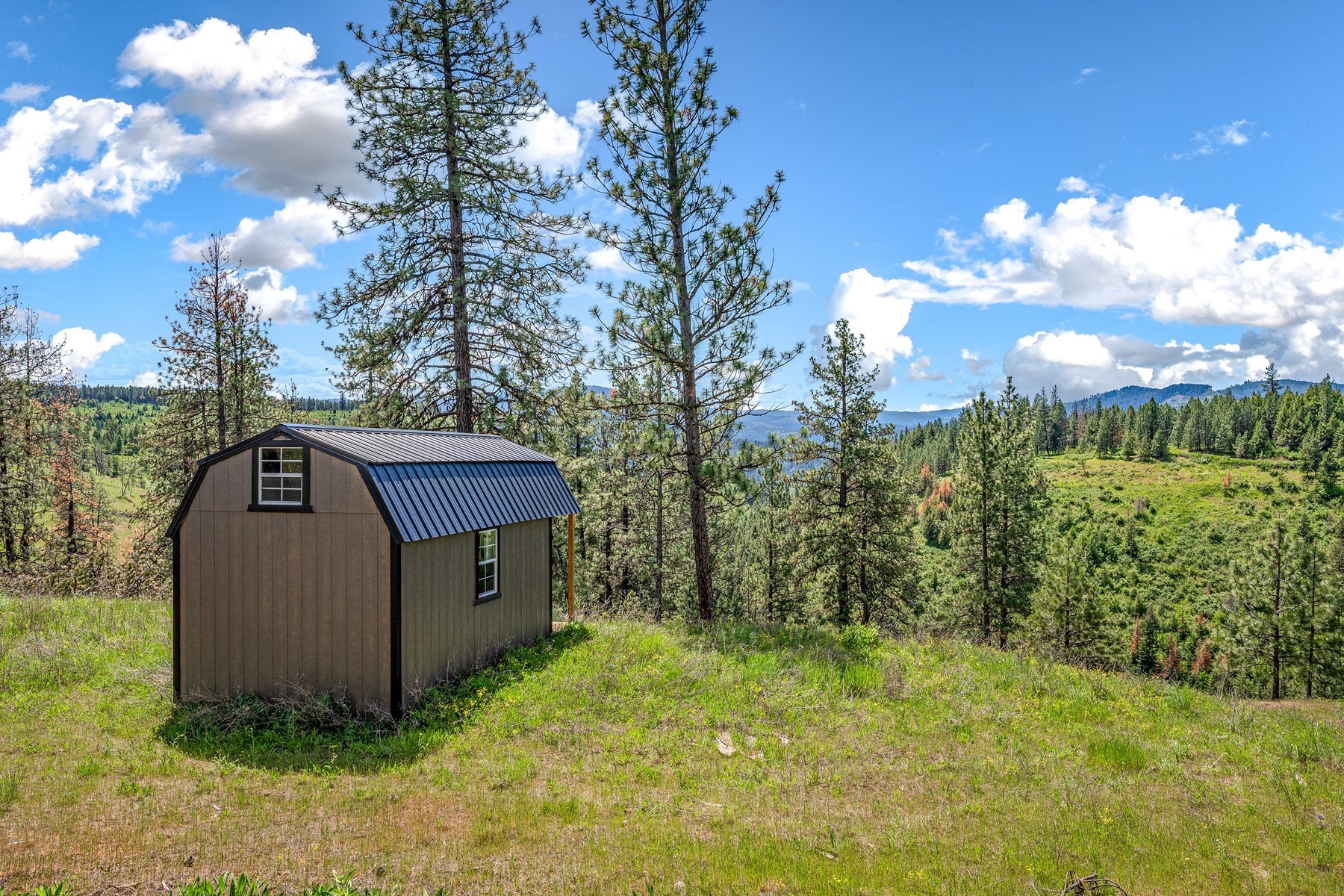  Cabins on 17ac. Surrounded by Lumber Land - 物件實景
