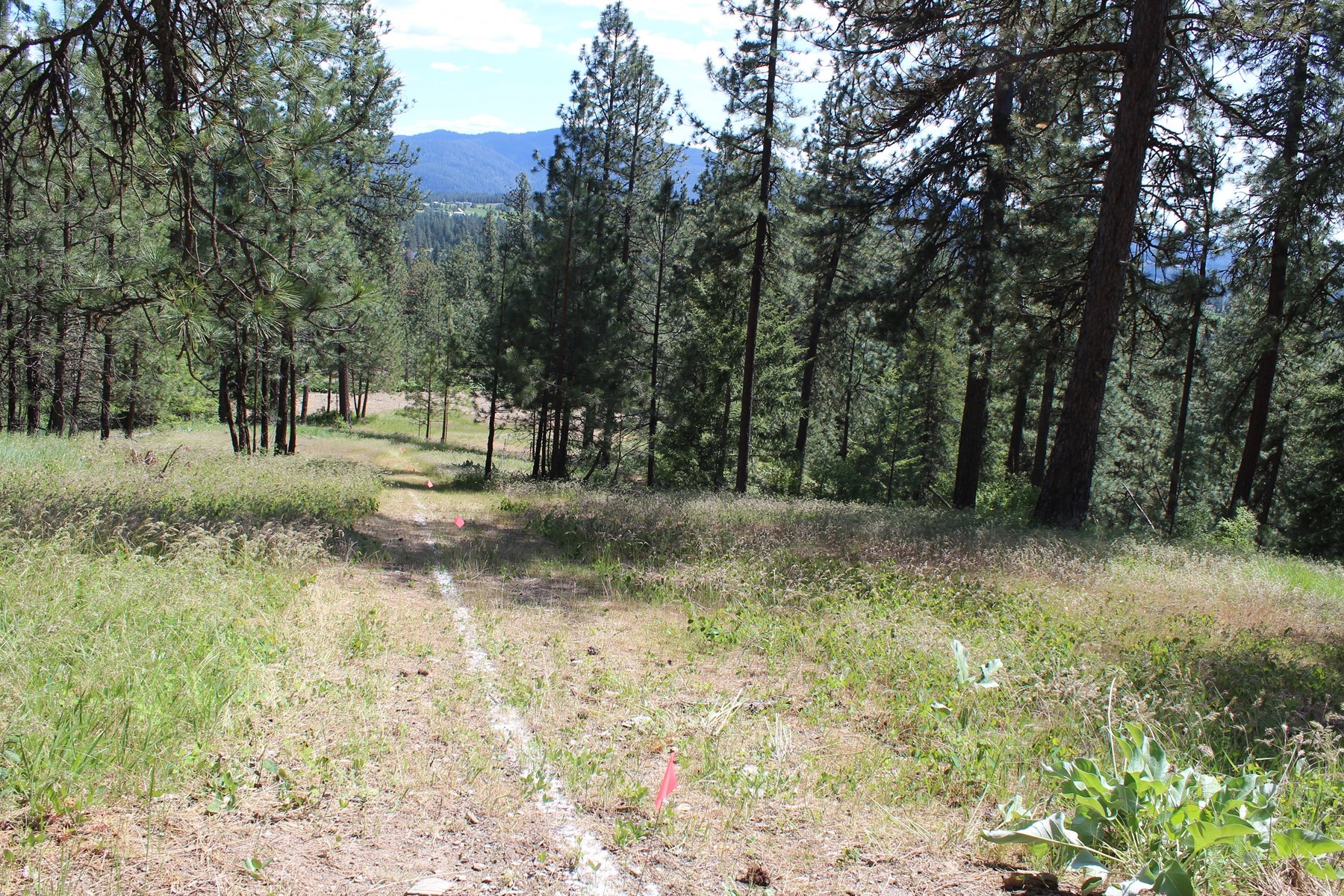  881 S Allen Rd and 2714 E Haven Dr Coeur d