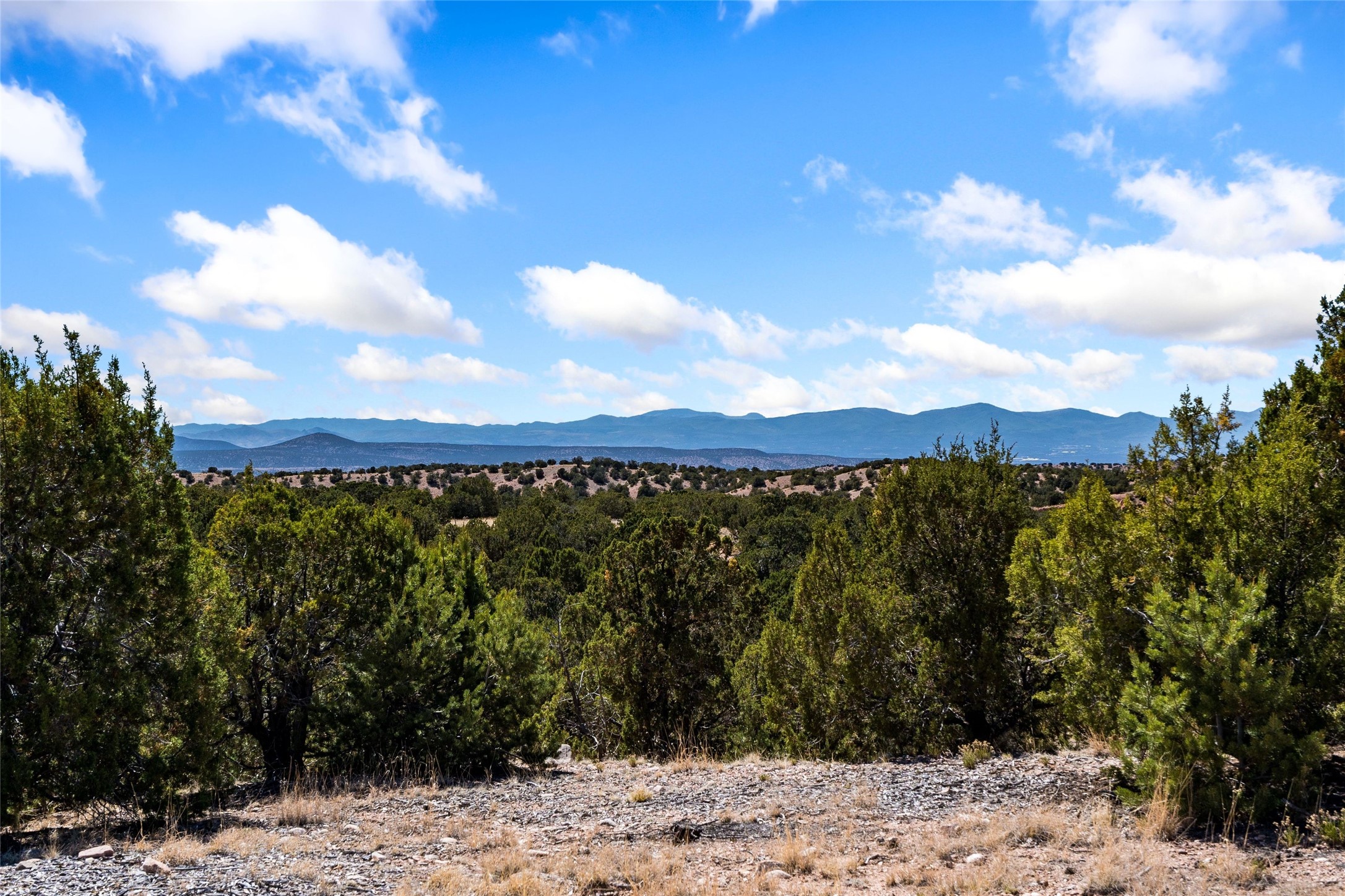  24 Conejo Trail - 物件實景
