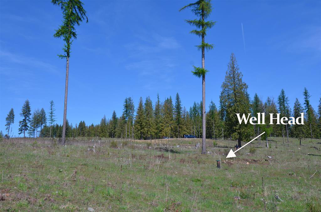 Sagle, Idaho, 83860, United States, ,Residential,For Sale,1880549
