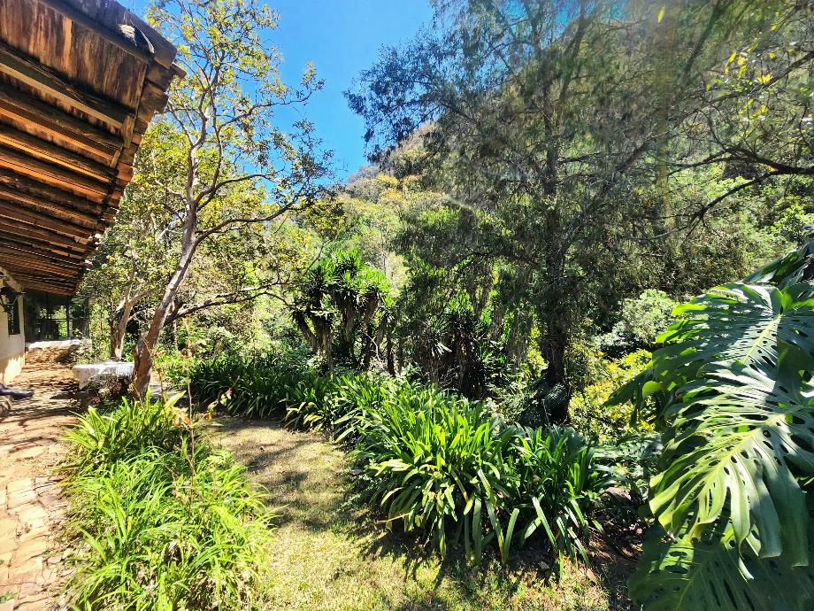 Temascaltepec, Estado de méxico, 51300, Mexico, 7 Bedrooms Bedrooms, ,7 BathroomsBathrooms,Residential,For Sale,1942225