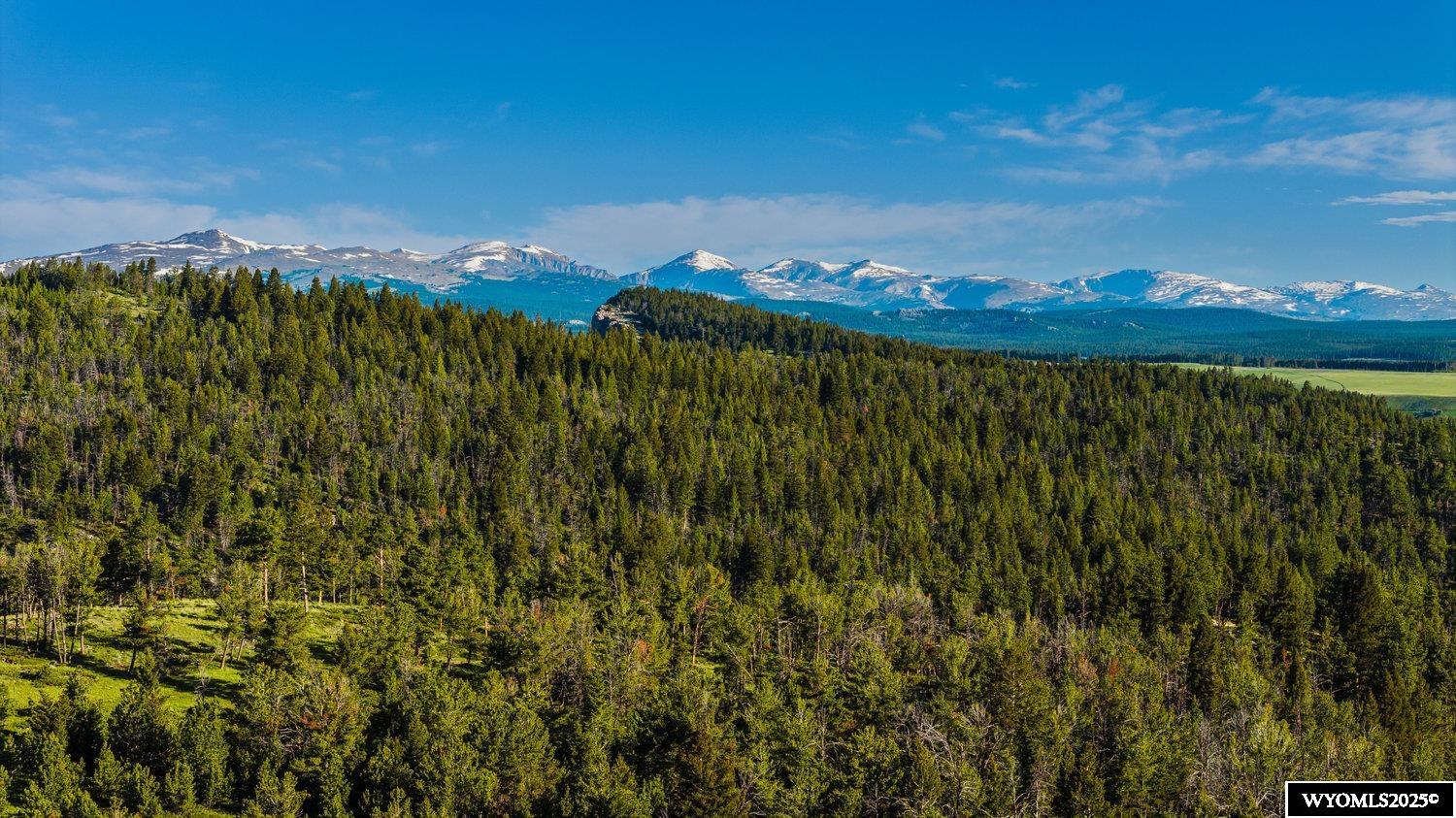 Buffalo, Wyoming, 82834, United States, ,Land,For Sale,1778348