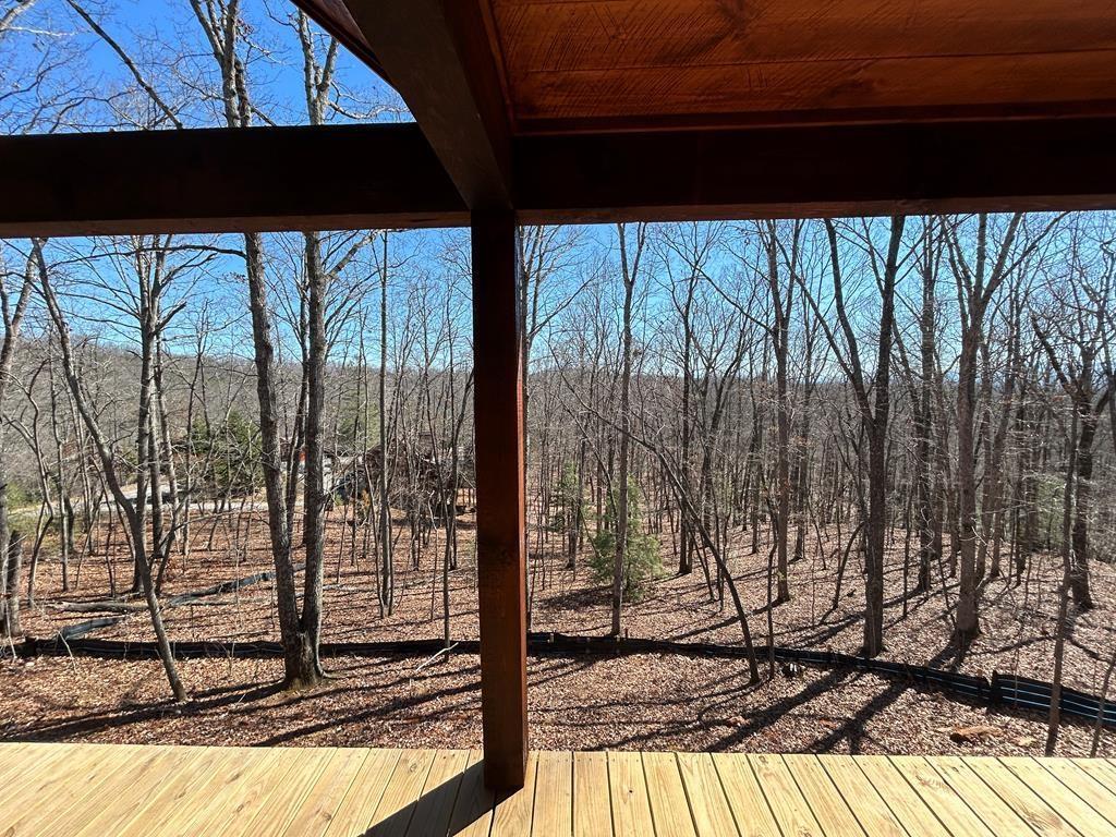 Mineral Bluff, Georgia, 30559, United States, 4 Bedrooms Bedrooms, ,3 BathroomsBathrooms,Residential,For Sale,1859066