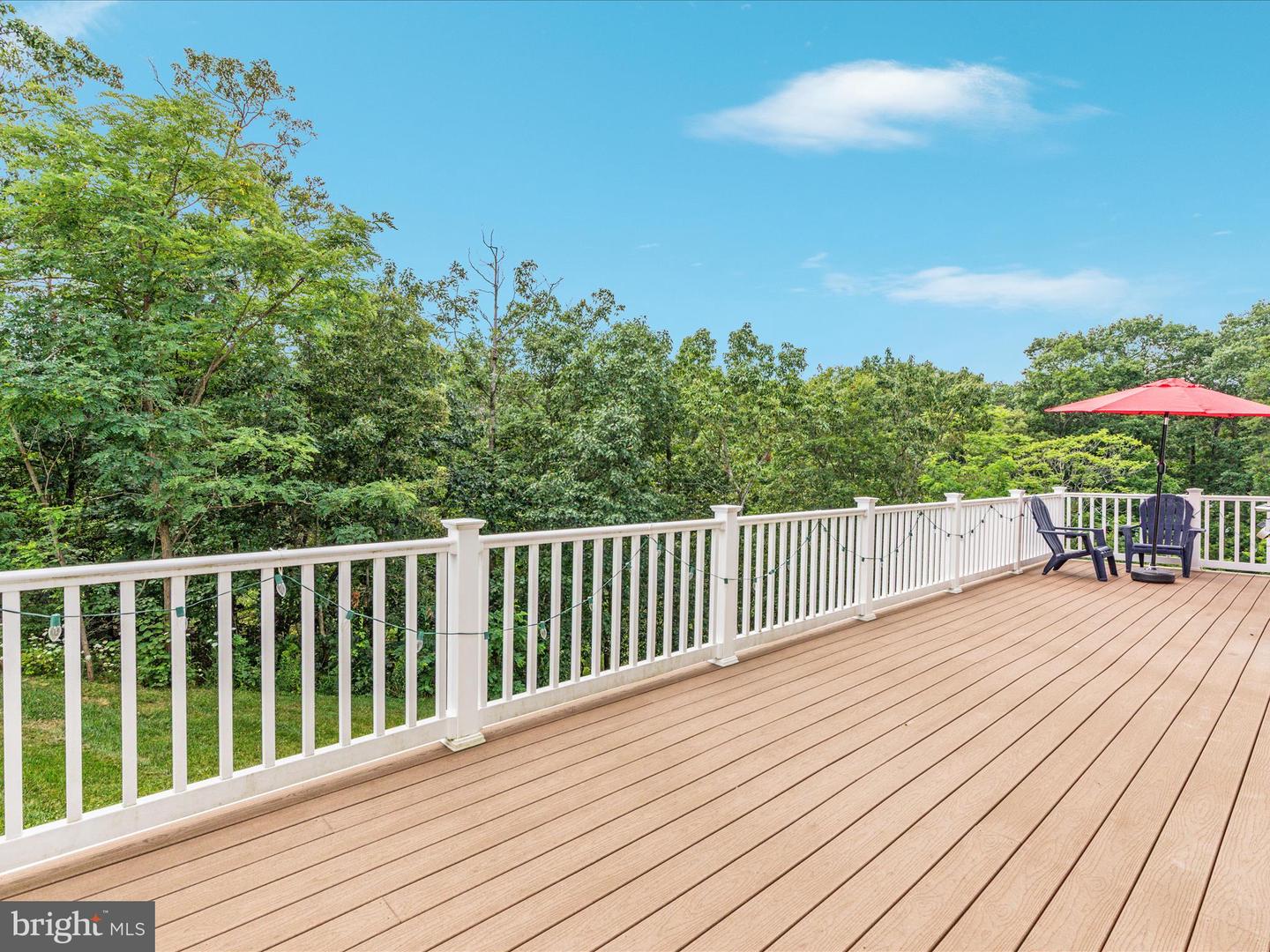 Winchester, Virginia, 22602, United States, 5 Bedrooms Bedrooms, ,5 BathroomsBathrooms,Residential,For Sale,1913787