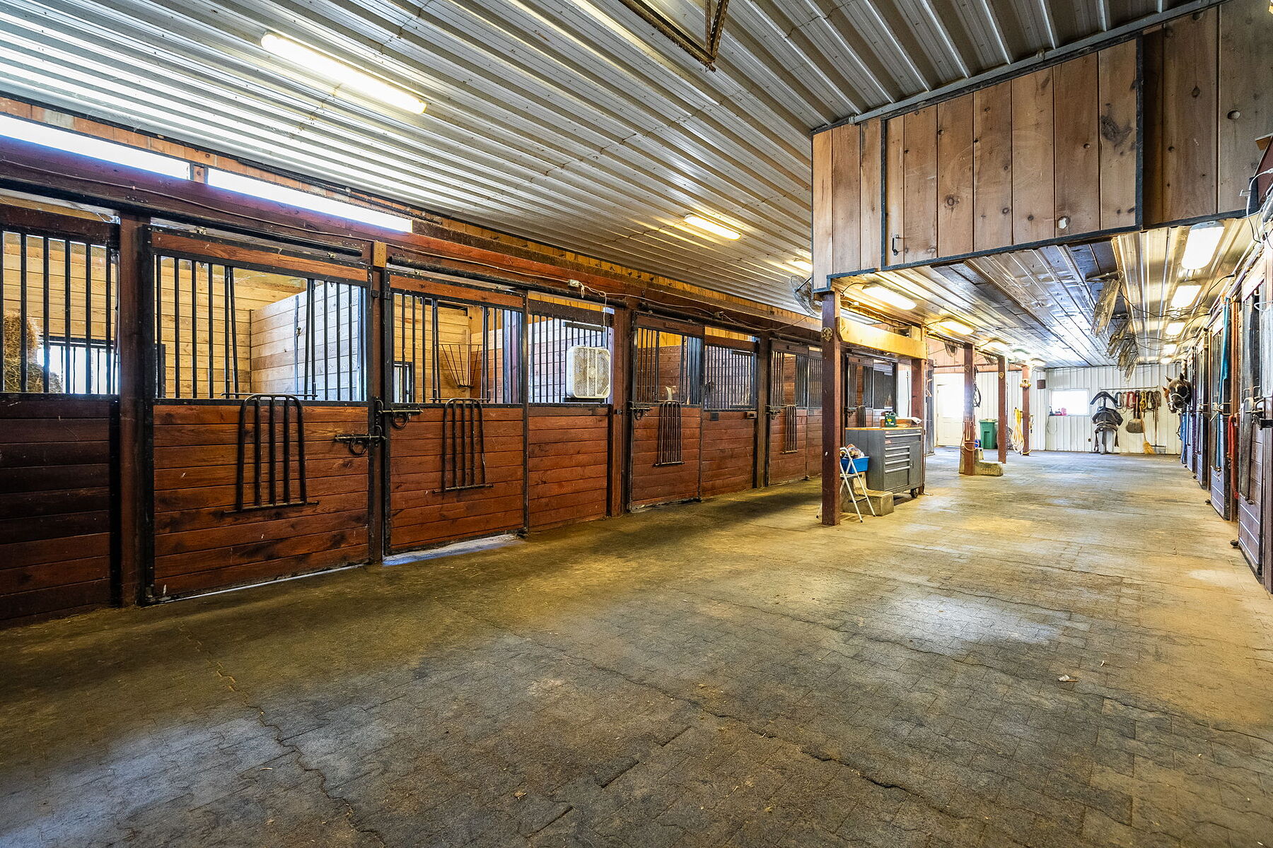  Premier Equestrian Property - 物件實景