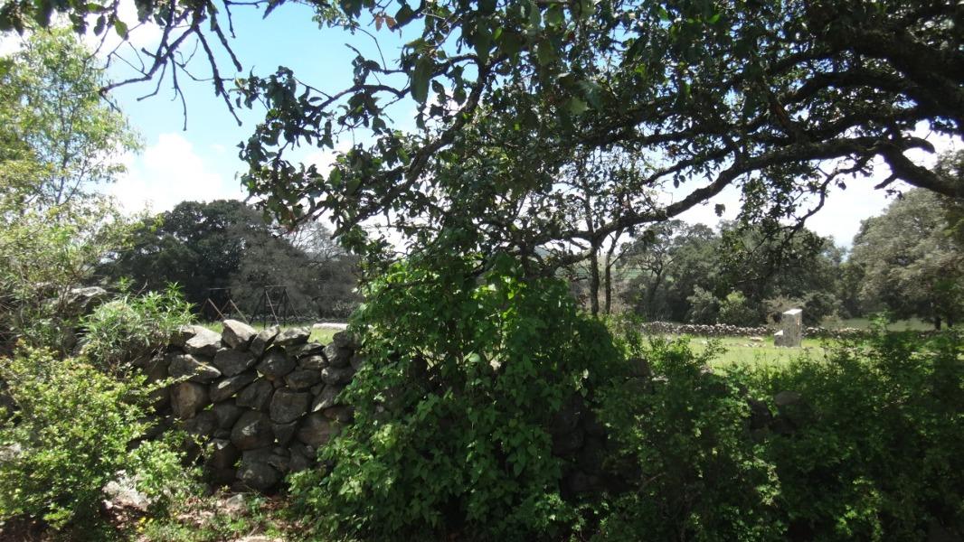 Rancho Tecolapan, Jilotepec, Estado de México, 54270, Mexico, 1 Bedroom Bedrooms, ,Residential,For Sale,Rancho Tecolapan,1443404