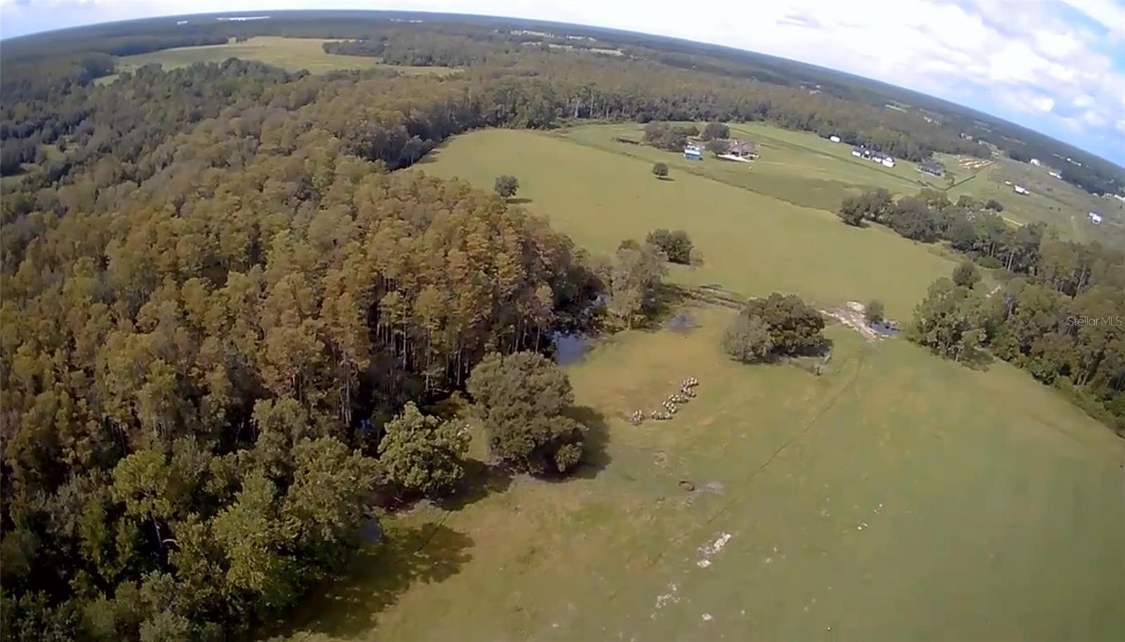 CLERMONT, Florida, 34714, United States, ,Land,For Sale,1982027