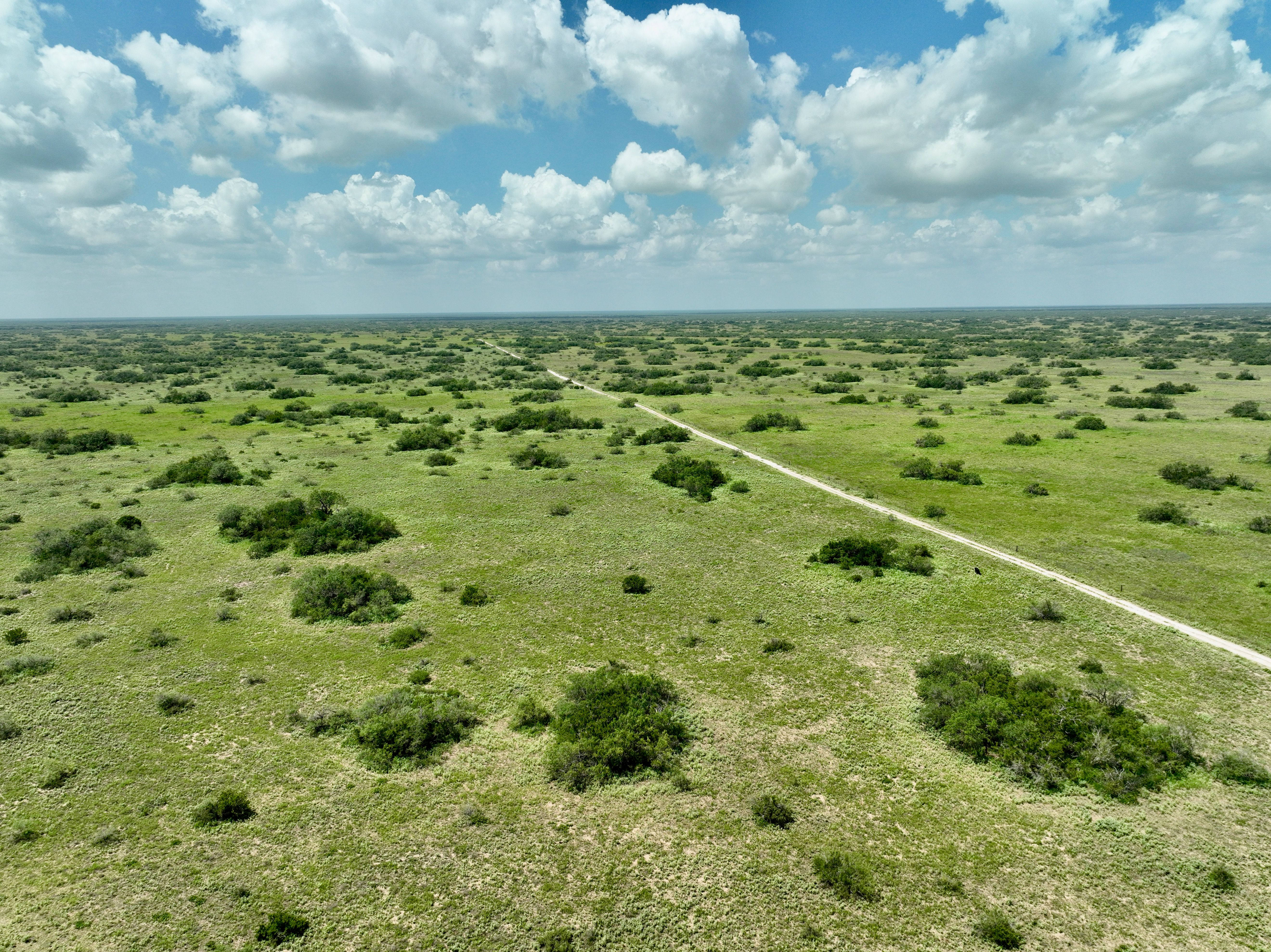  Mesquite Tree Ranch - 物件實景