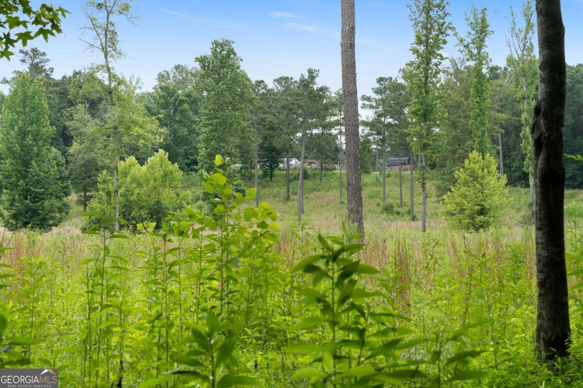 Rome, Georgia, 30165, United States, ,Land,For Sale,1890078