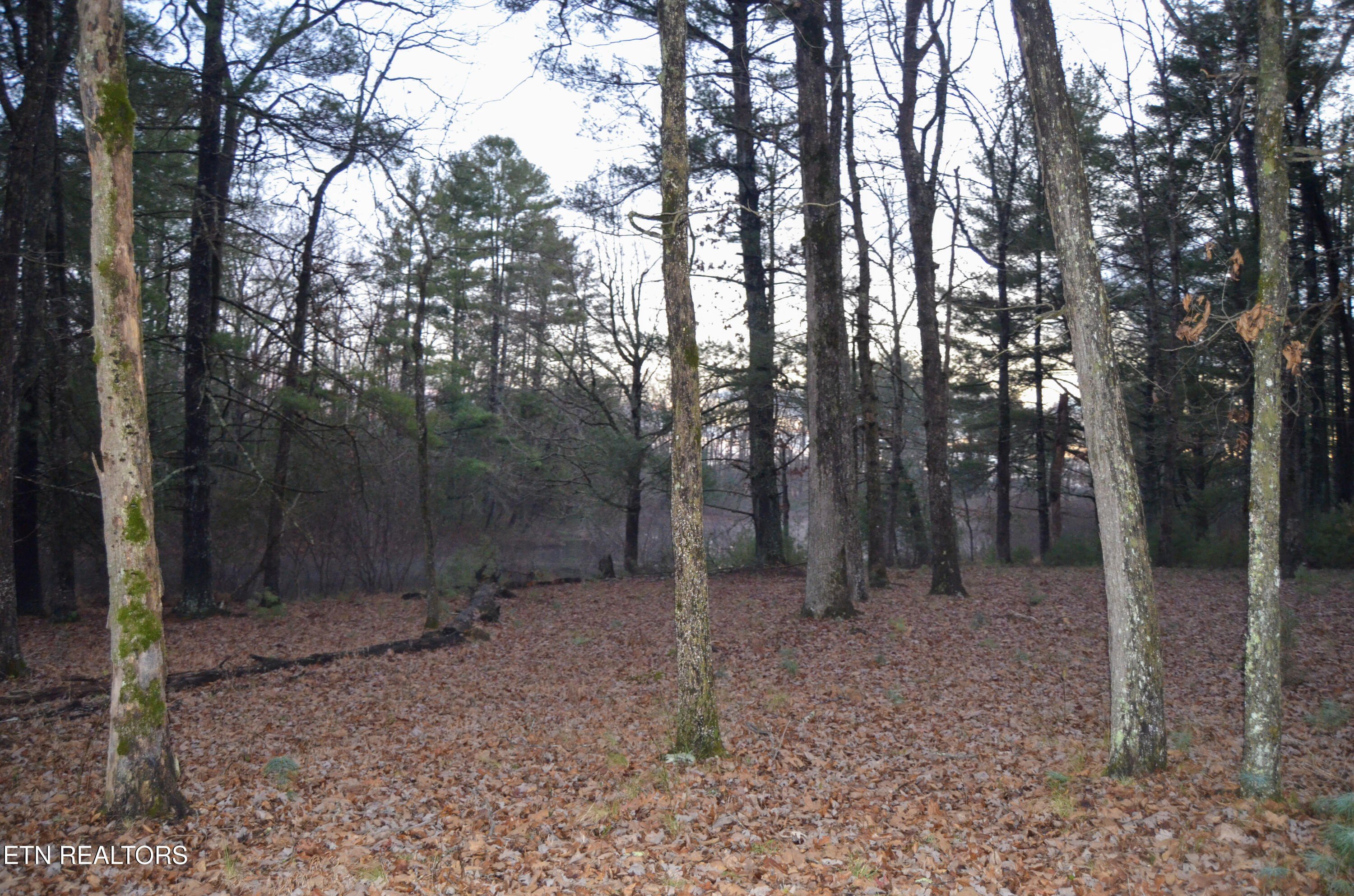 Crossville, Tennessee, 38555, United States, ,Land,For Sale,1978266