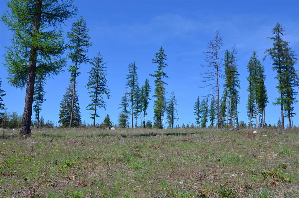 Sagle, Idaho, 83860, United States, ,Residential,For Sale,1880549