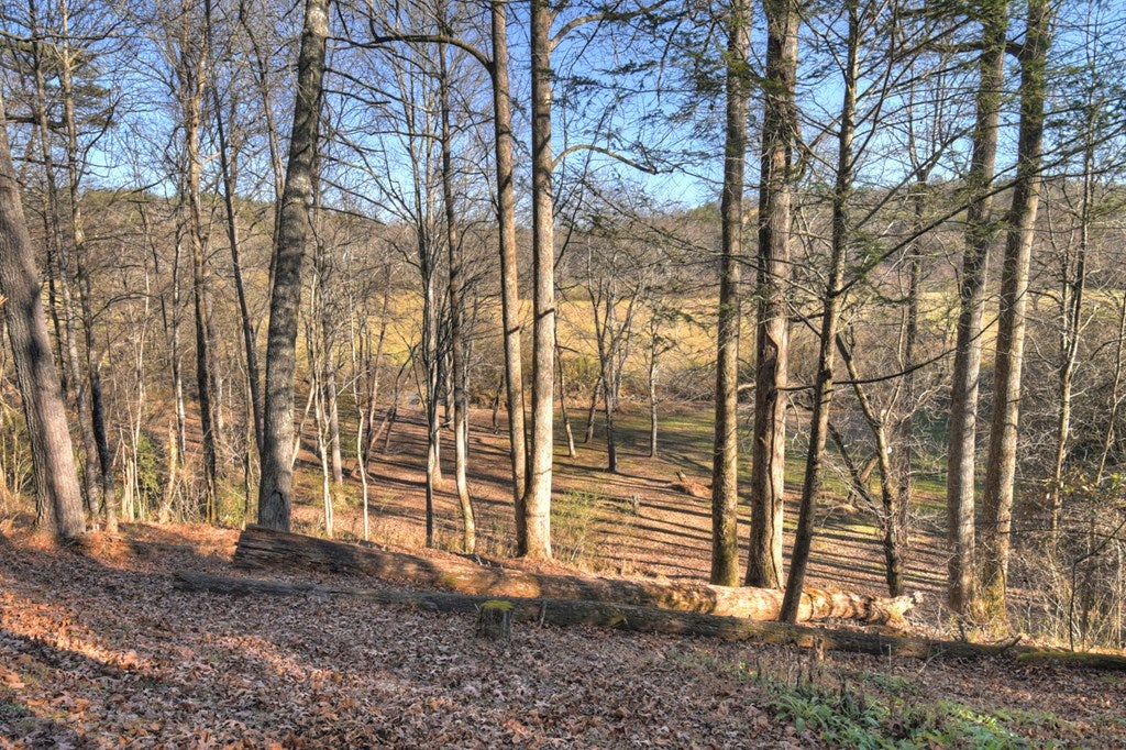 Blue Ridge, Georgia, 30513, United States, 3 Bedrooms Bedrooms, ,3 BathroomsBathrooms,Residential,For Sale,1954403