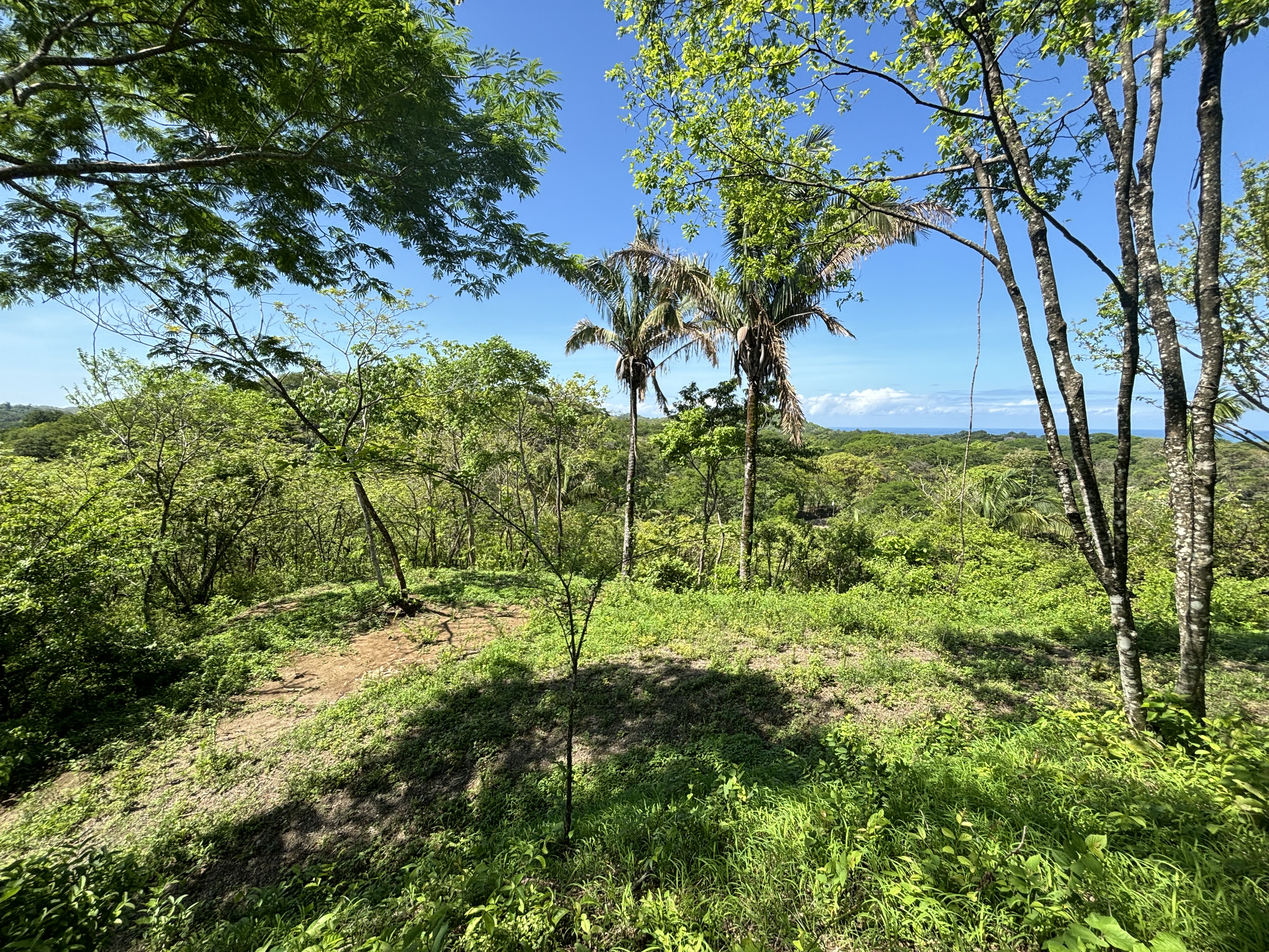 Nosara, Guanacaste, CR, ,Land,For Sale,1669008