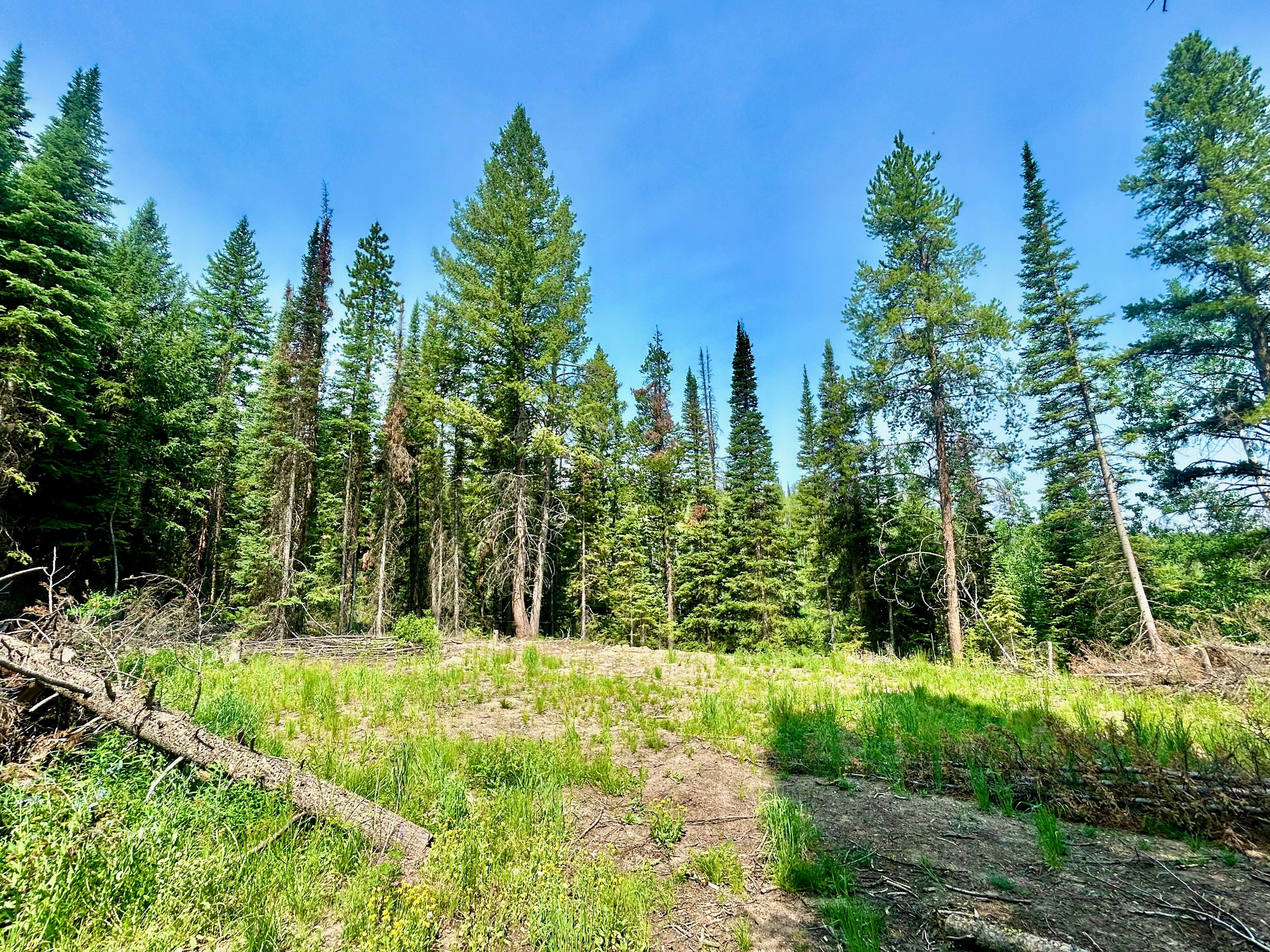  Lot 38 Colt Trail, Oak Creek, CO, 80467 - 物件實景