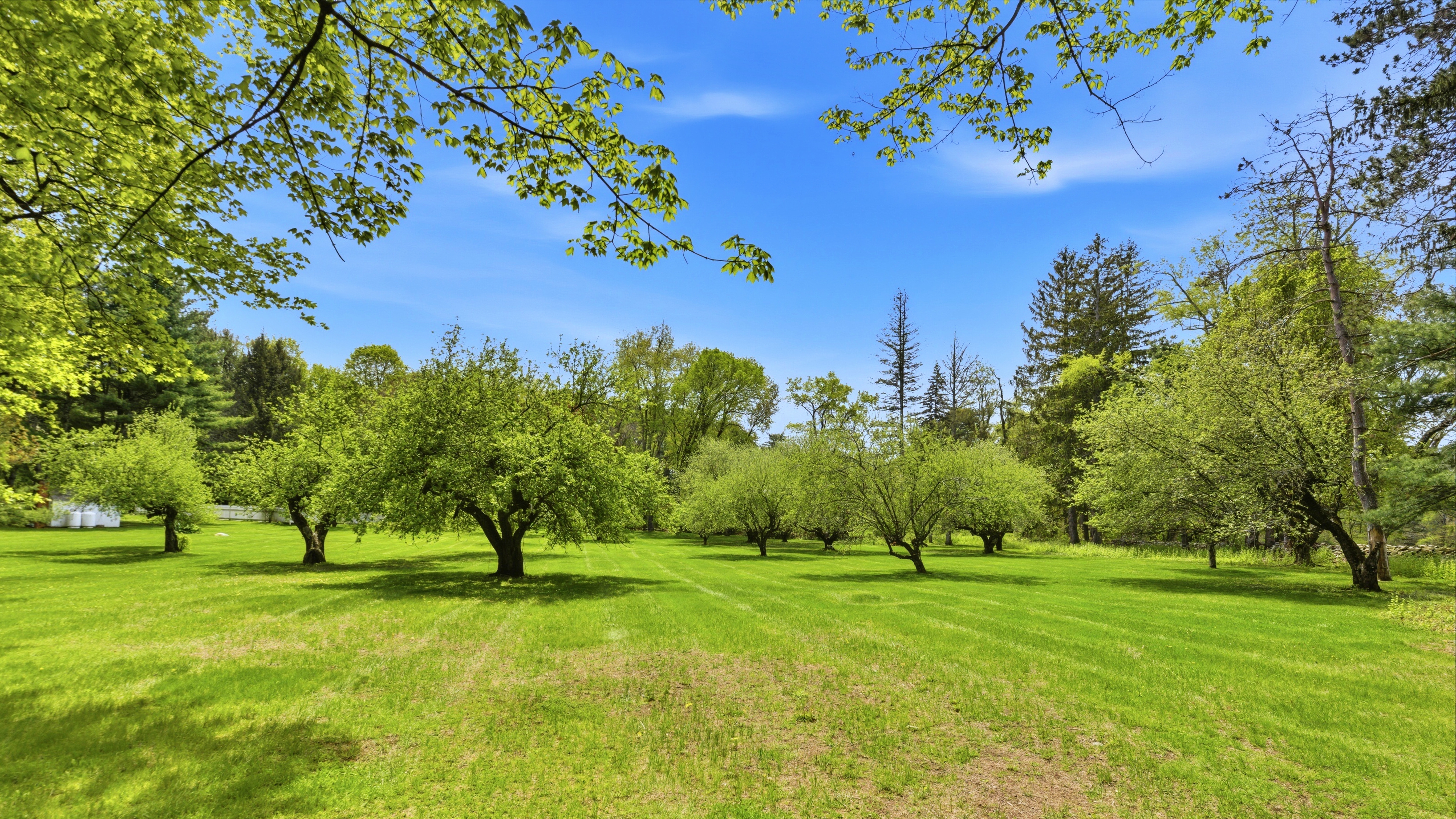  Nodin Farm: A Greek Revival Masterpiece on 130 Acres - 物件實景