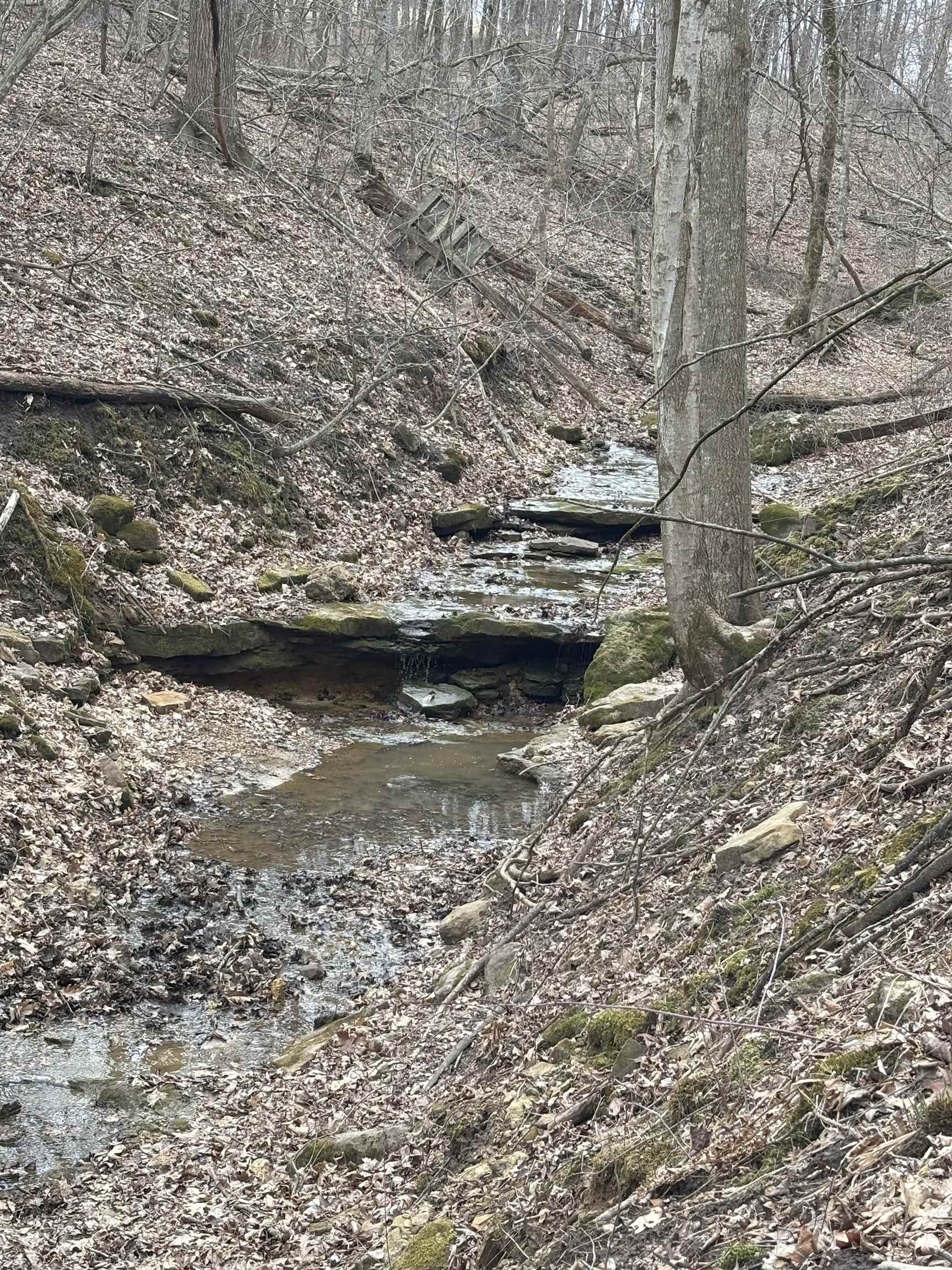 Gays Mills, Wisconsin, 54631, United States, ,Residential,For Sale,1928729