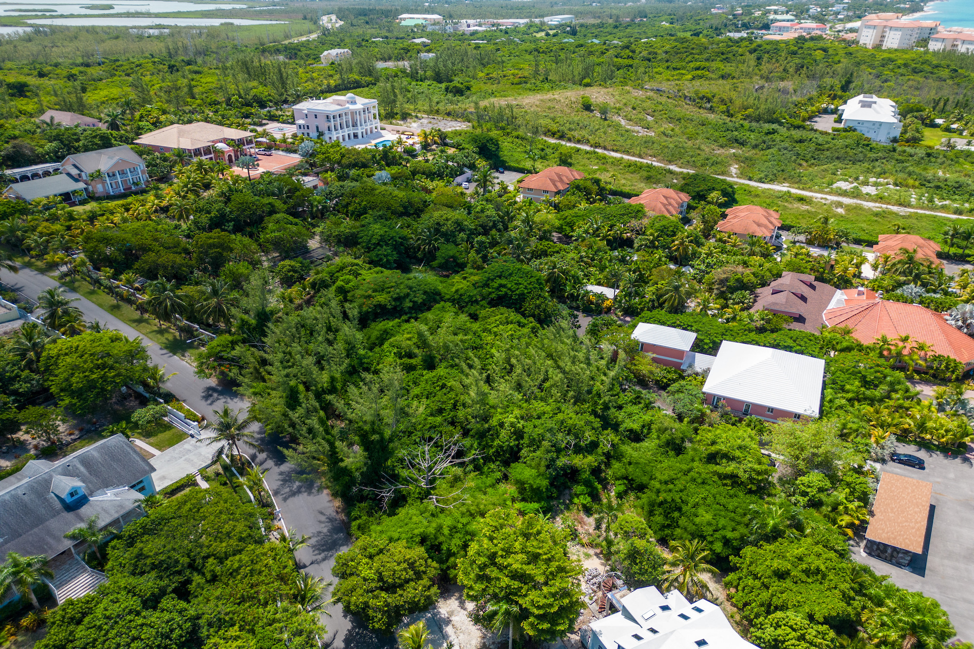  Prime Elevated Ocean View Homesite - 物件實景