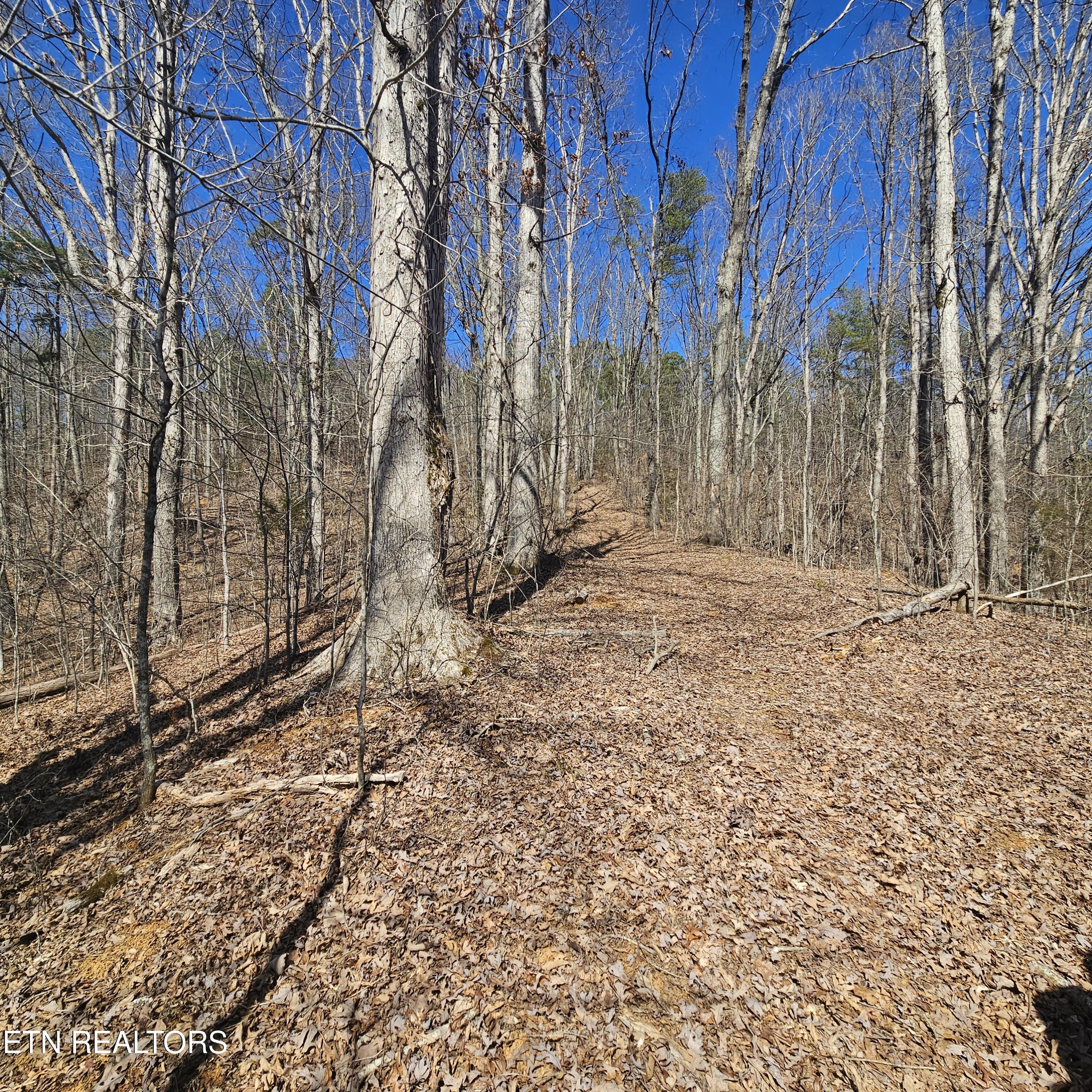 Tellico Plains, Tennessee, 37385, United States, ,Residential,For Sale,1922105
