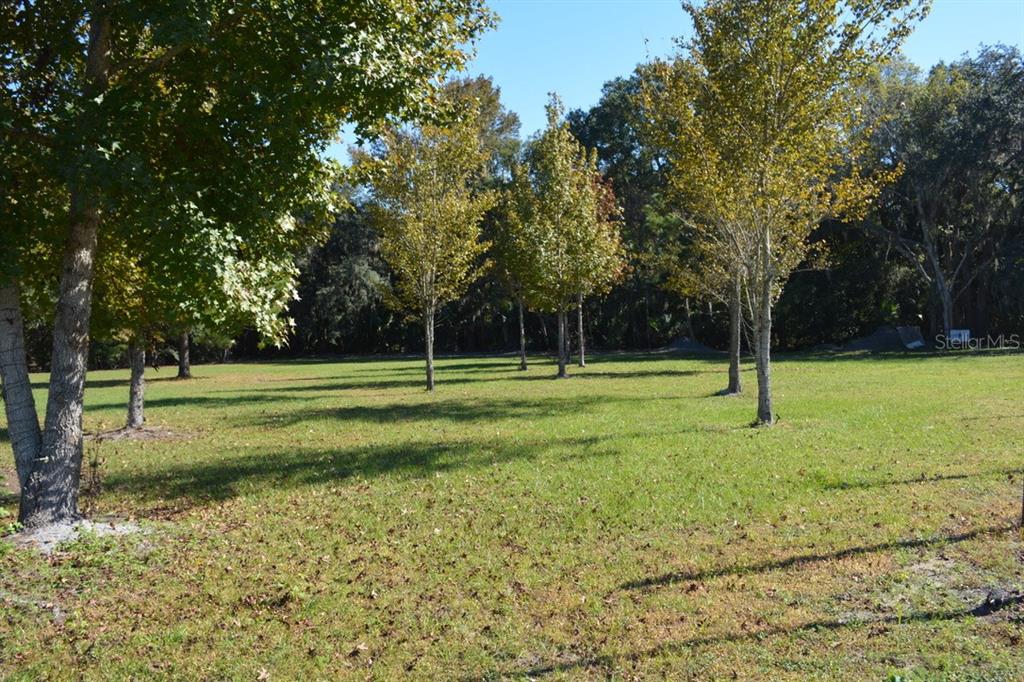 Sanford, Florida, 32773, United States, ,Land,For Sale,1987674