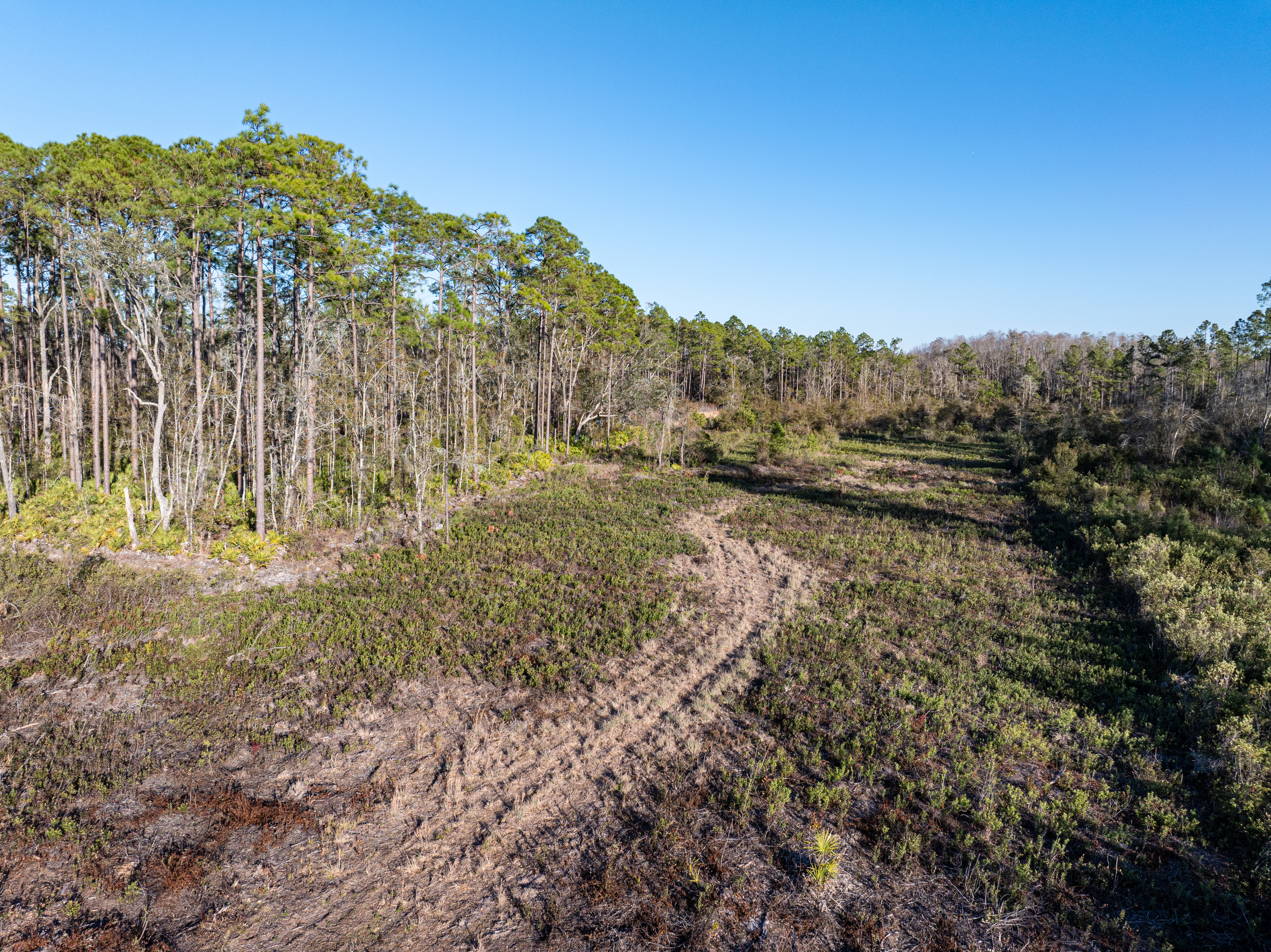 2418 NE OMAR TER, Lake City, Florida, 32055, United States, ,Land,For Sale,2418 NE OMAR TER,1680072