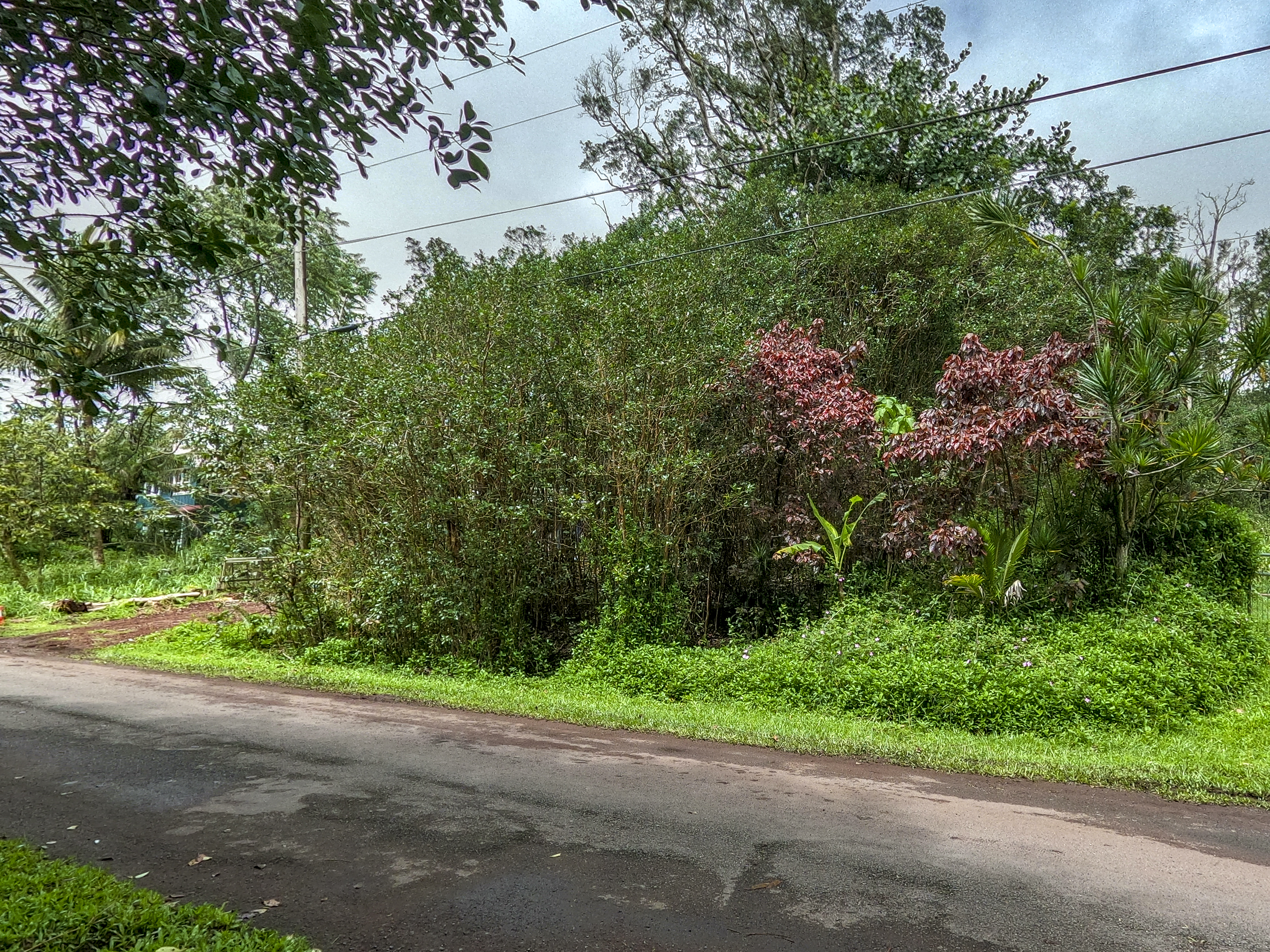  12-4330 Ocean View Pkwy, Pahoa, HI, 96778 - 物件實景