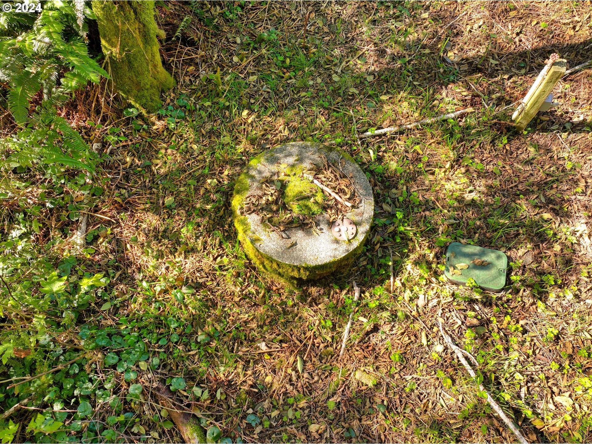 Brookings, Oregon, 97415, United States, 2 Bedrooms Bedrooms, ,2 BathroomsBathrooms,Residential,For Sale,1974438