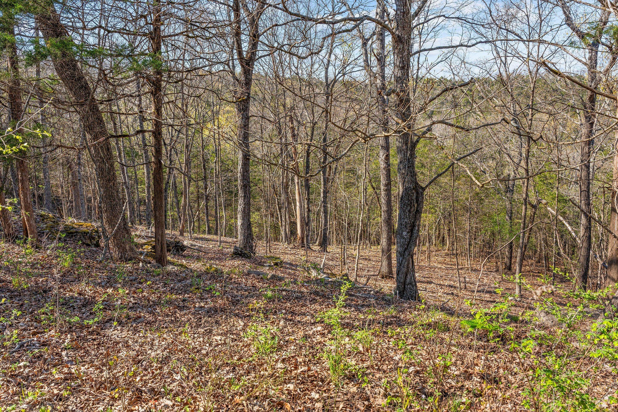 Kirbyville, Missouri, 65679, United States, ,Land,For Sale,1978892