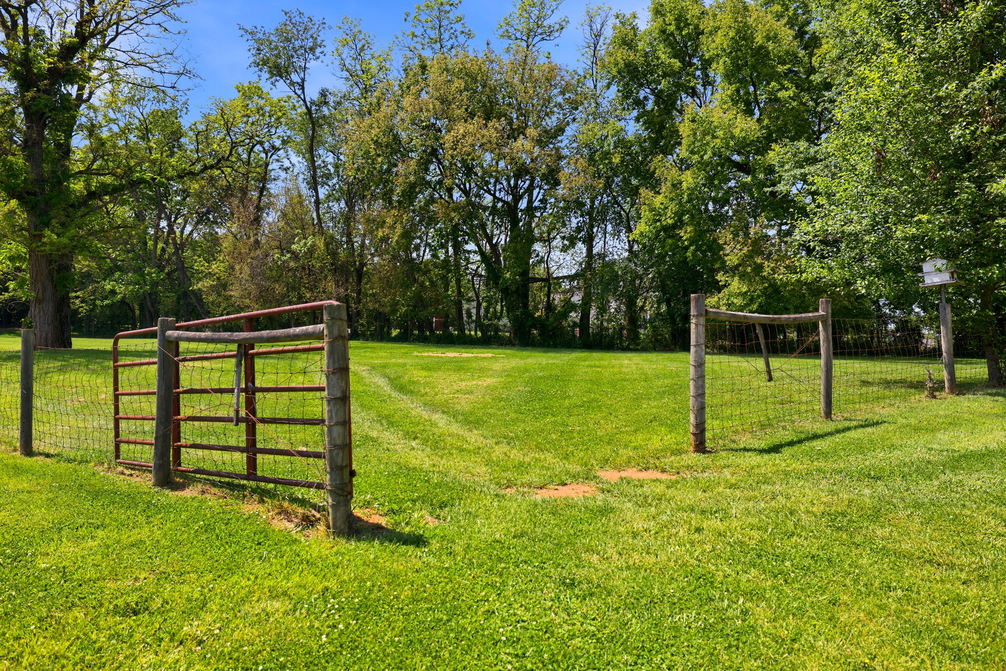 39423 Irish Corner Road, Lovettsville, VA, 20180 - 物件實景