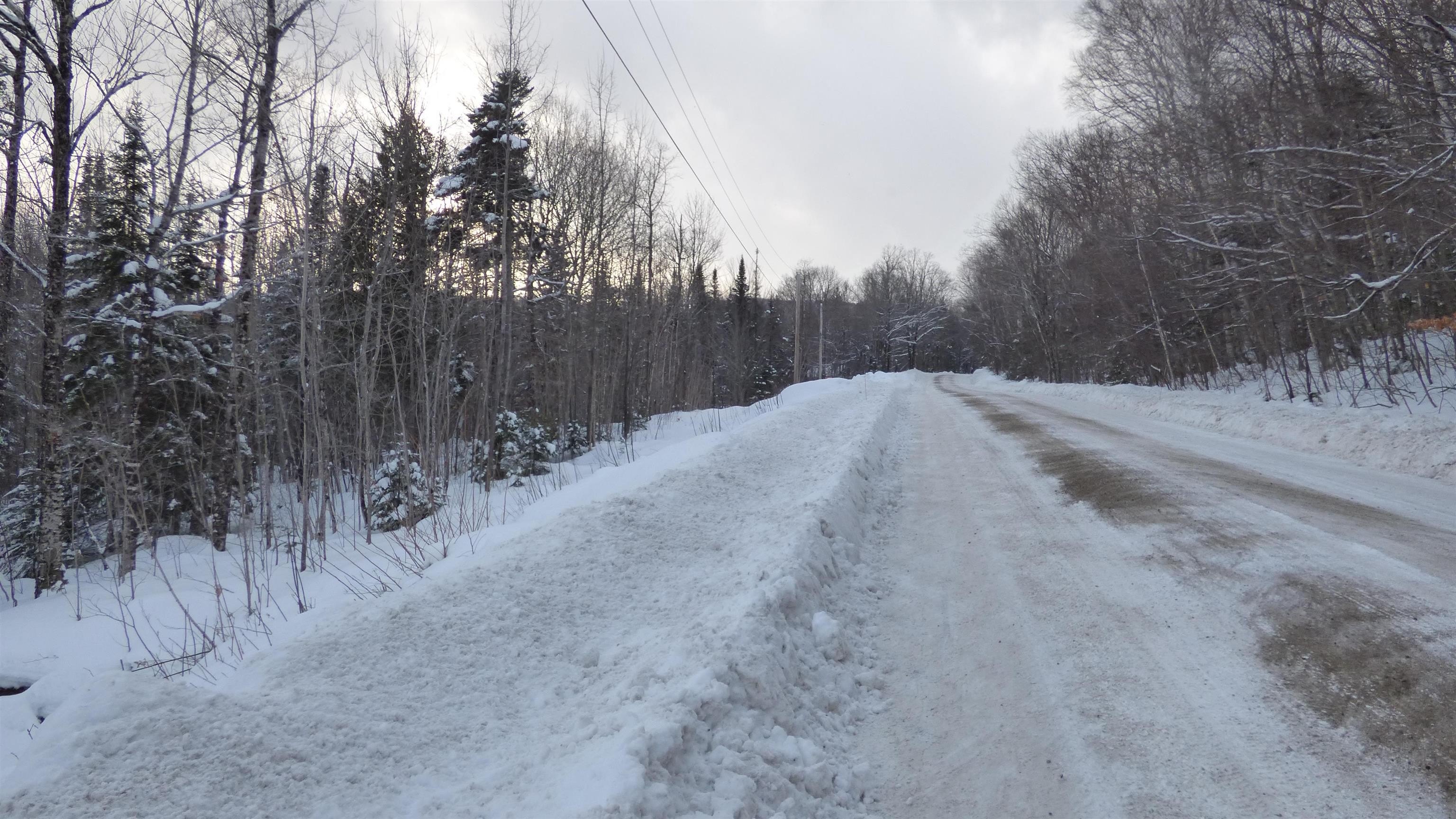 Wheelock, Vermont, 05851, United States, ,Land,For Sale,2017707