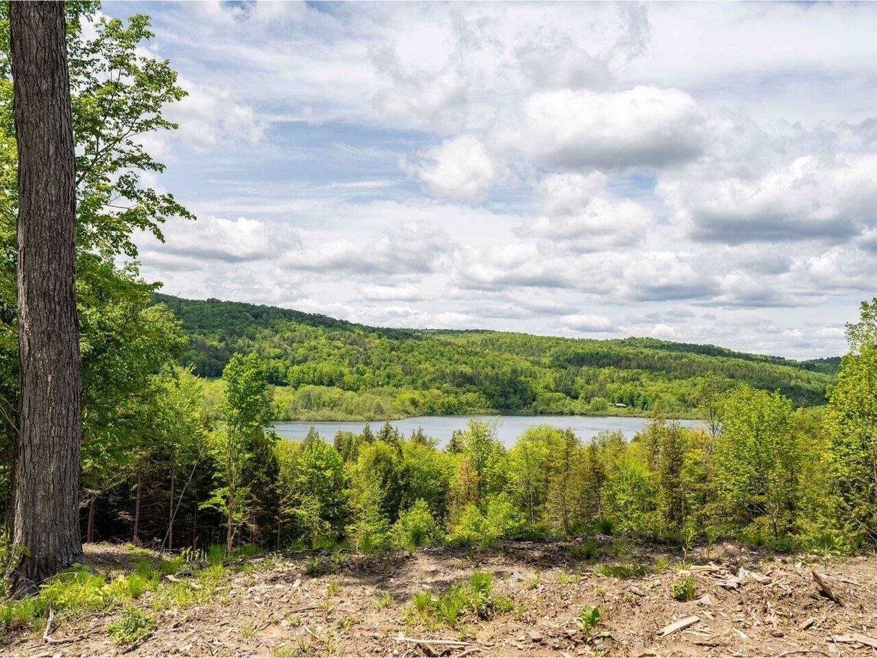 Berlin, Vermont, 05602, United States, ,Land,For Sale,1850214