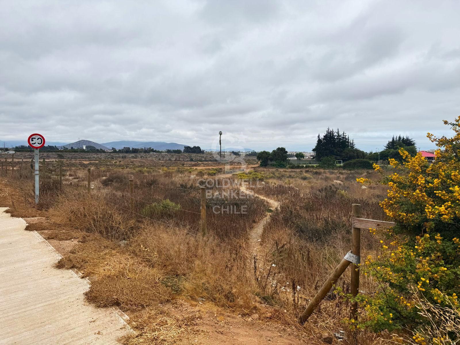 La Serena, Chile, ,Land,For Sale,1723843
