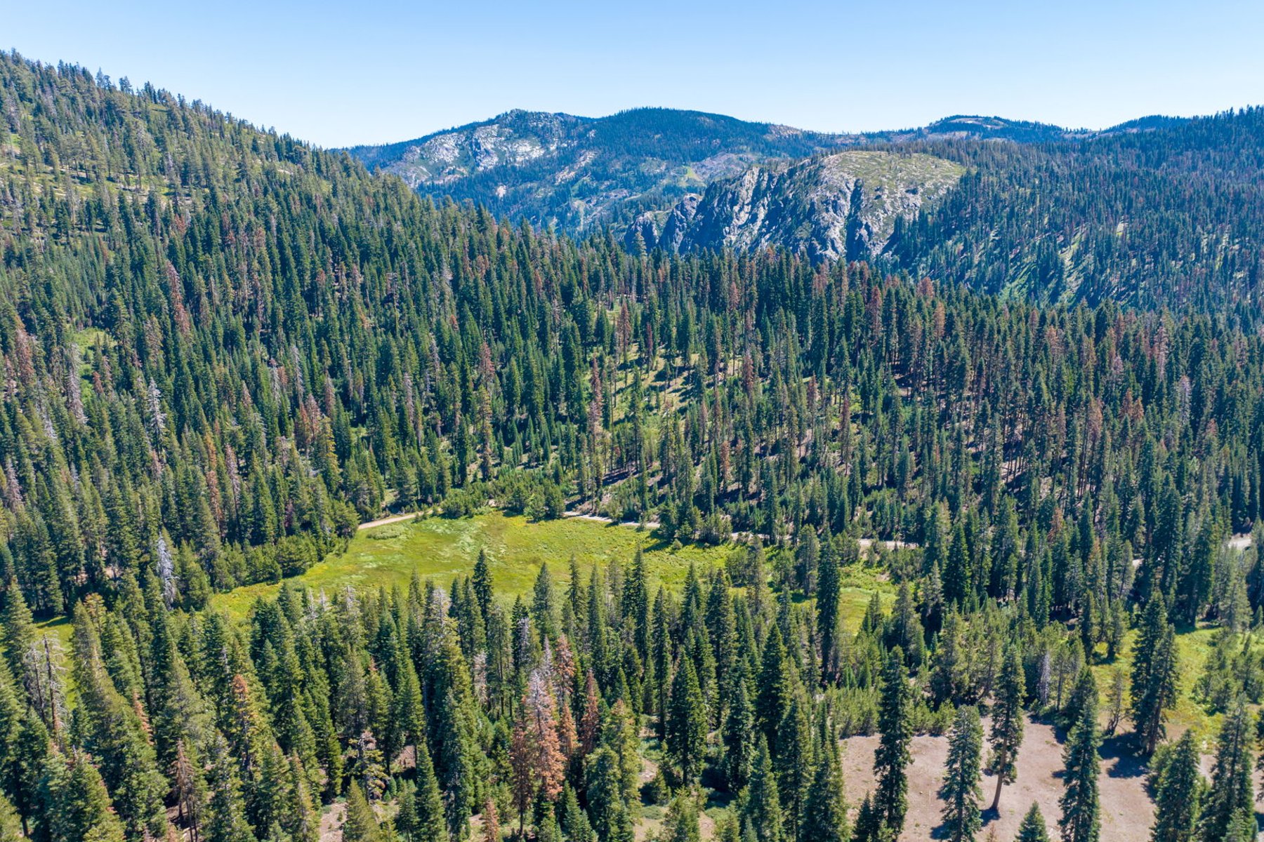  80 Acres of Pristine Land in the Middle of Plumas Eureka State Park - 物件實景