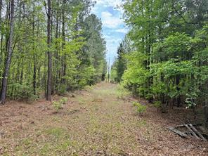 Naples, Texas, 75568, United States, ,Land,For Sale,1786234