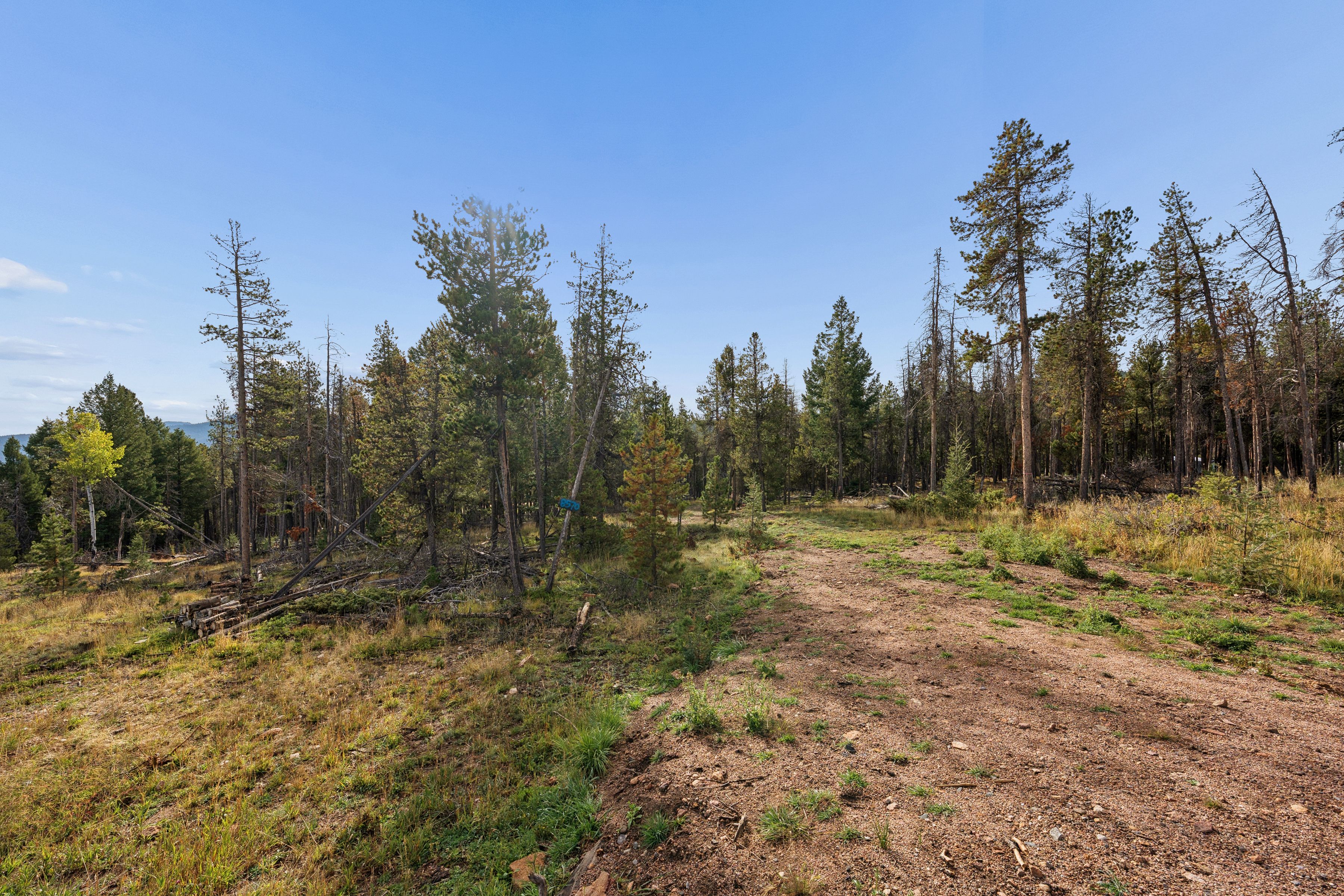  Opportunity to Build Your Foothills Dream Home with Over 7 Acres of Privacy - 物件實景