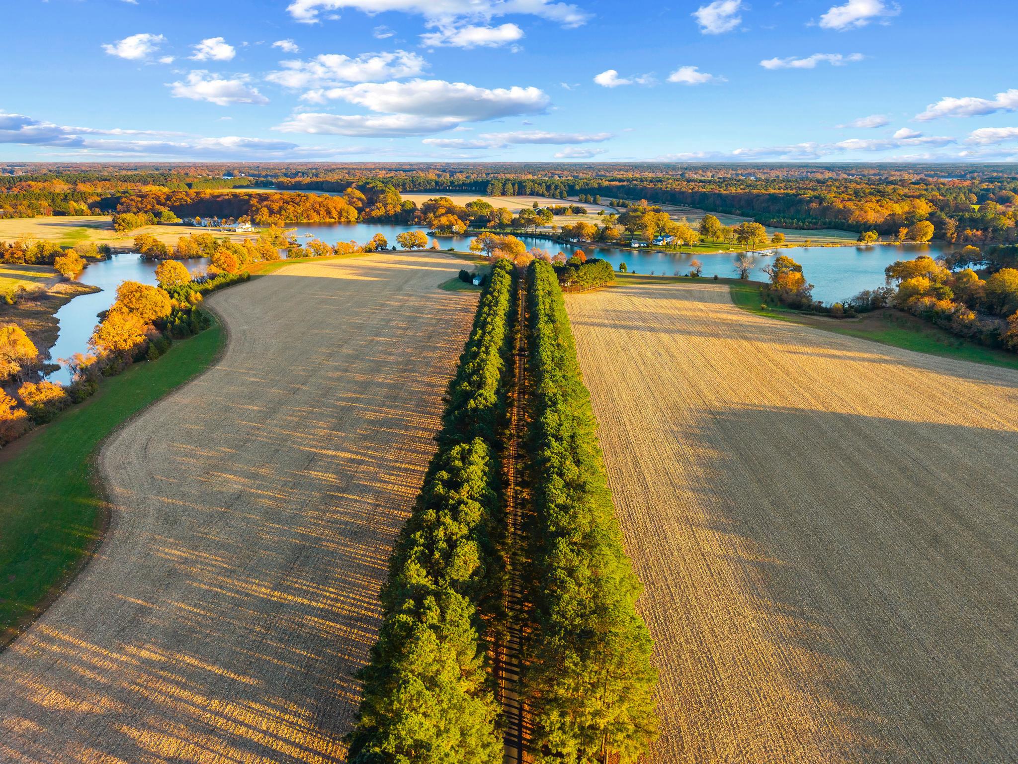  9170 Hunting Creek Lane, Easton, MD, 21601 - 物件實景