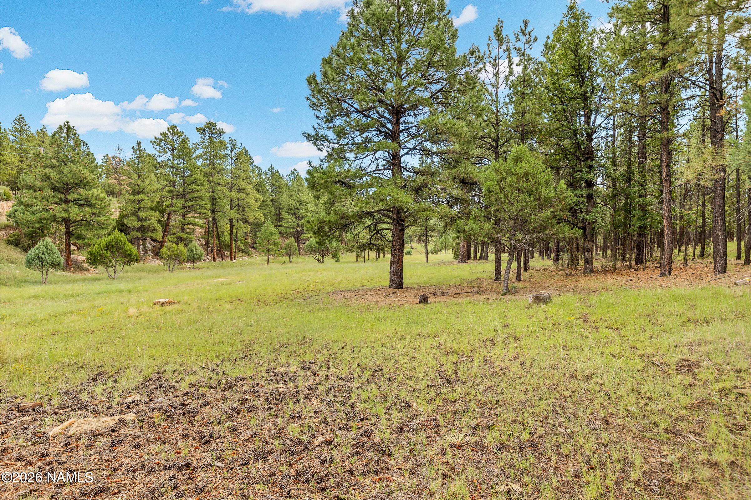  3579 Starlight Drive, Happy Jack, AZ 86024 - 物件實景