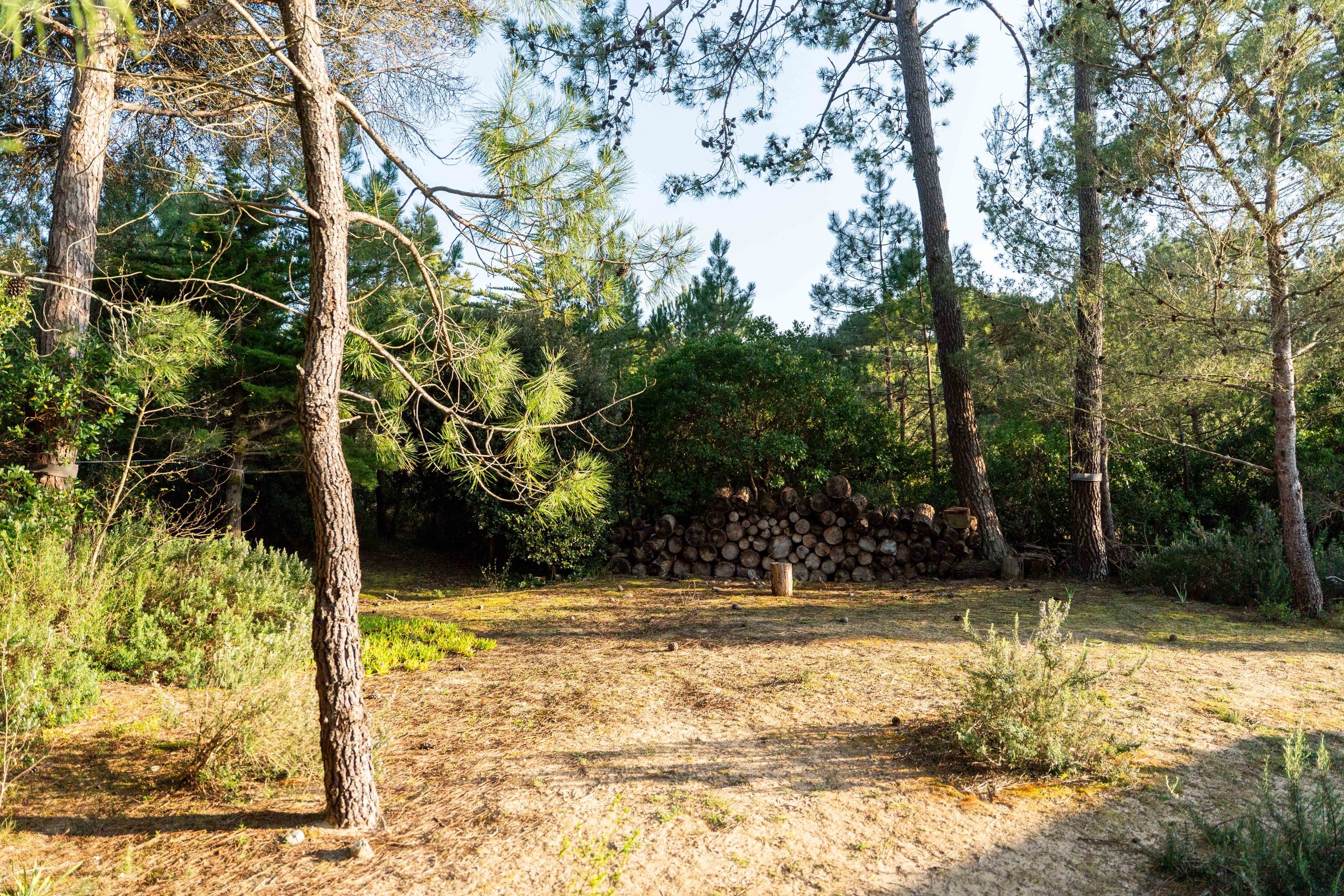  Île de Ré – Les Portes-en-Ré - Exceptional Property Nestled in a Pine Forest, J… - 物件實景