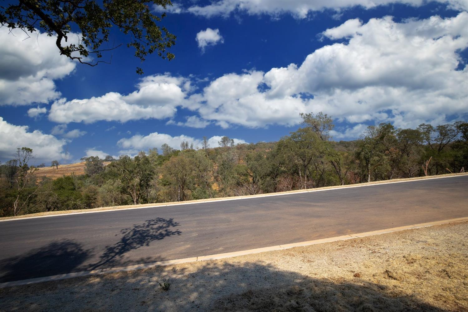 4135 Raphael Drive, El Dorado Hills, California, 95762, United States, ,Land,For Sale,4135 Raphael Drive,1642699