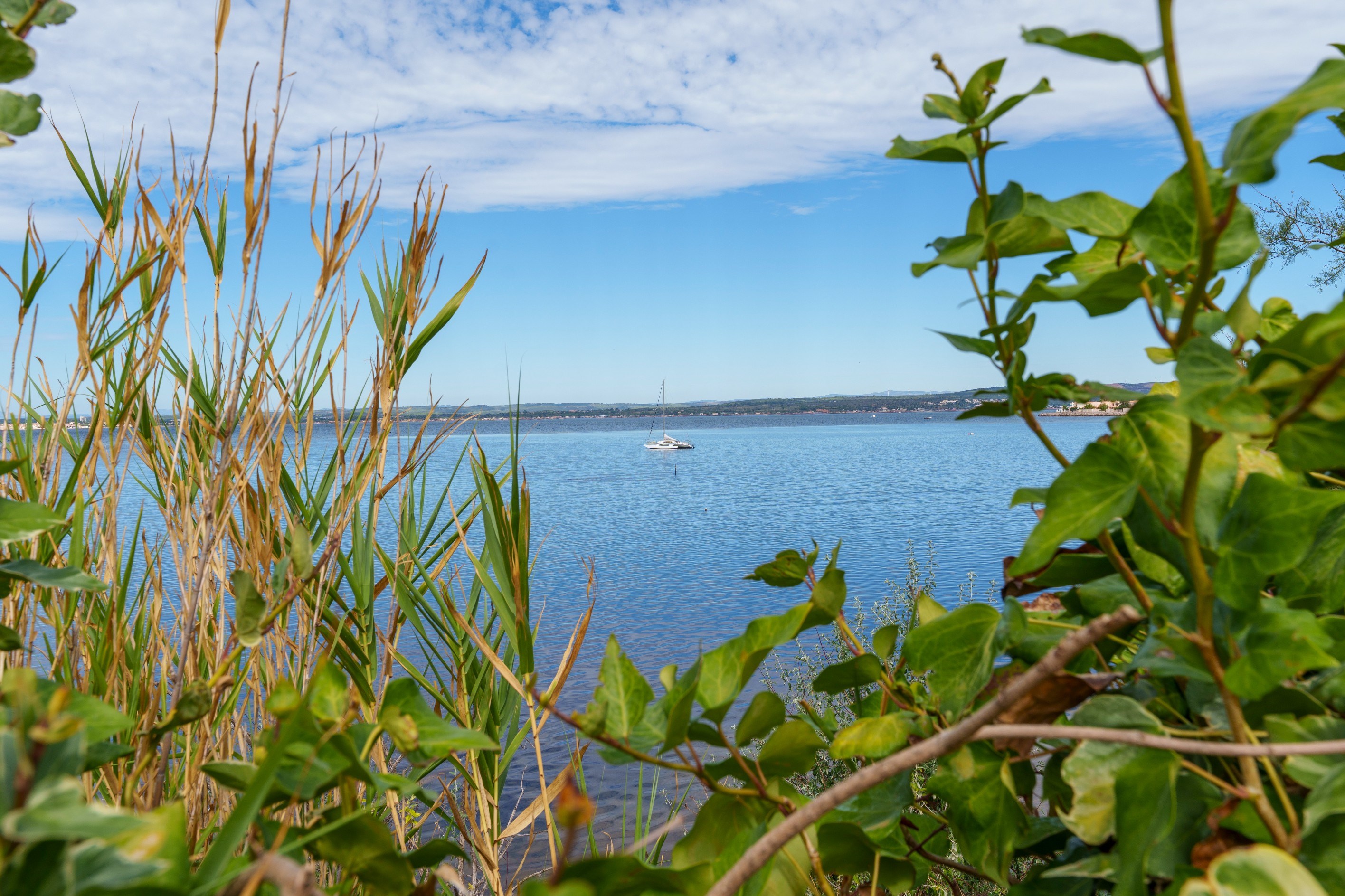  Stunning views of the Thau Lagoon_ Contemporary home with private access to the… - 物件實景