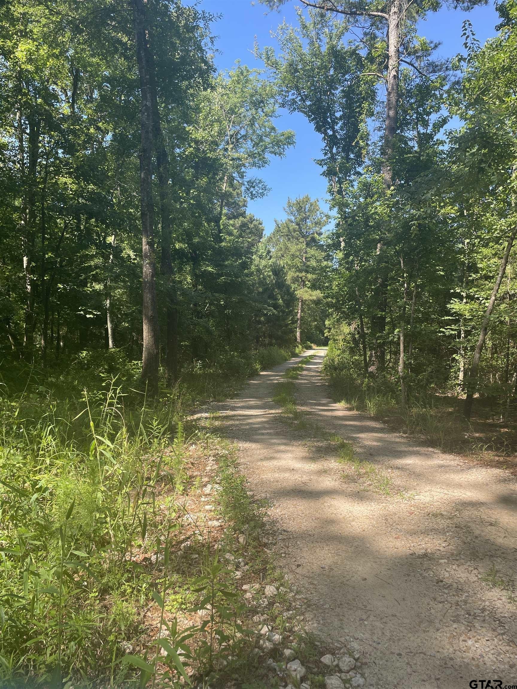 Pittsburg, Texas, 75686, United States, 3 Bedrooms Bedrooms, ,3 BathroomsBathrooms,Residential,For Sale,1982891