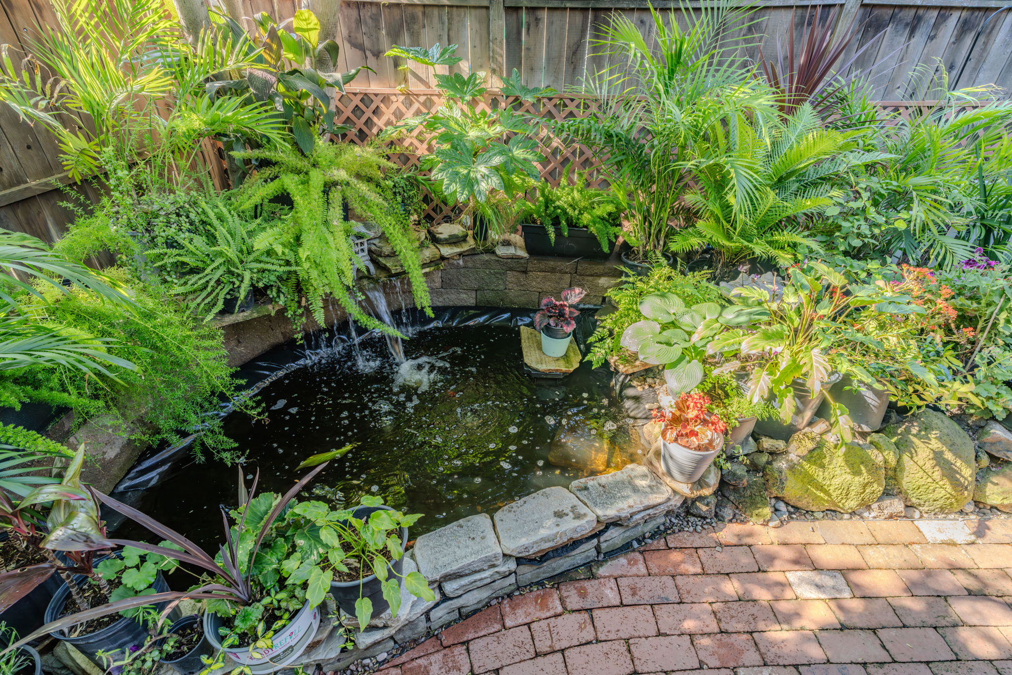  Single Story Home in a Sought After Lodi Neighborhood - 物件實景